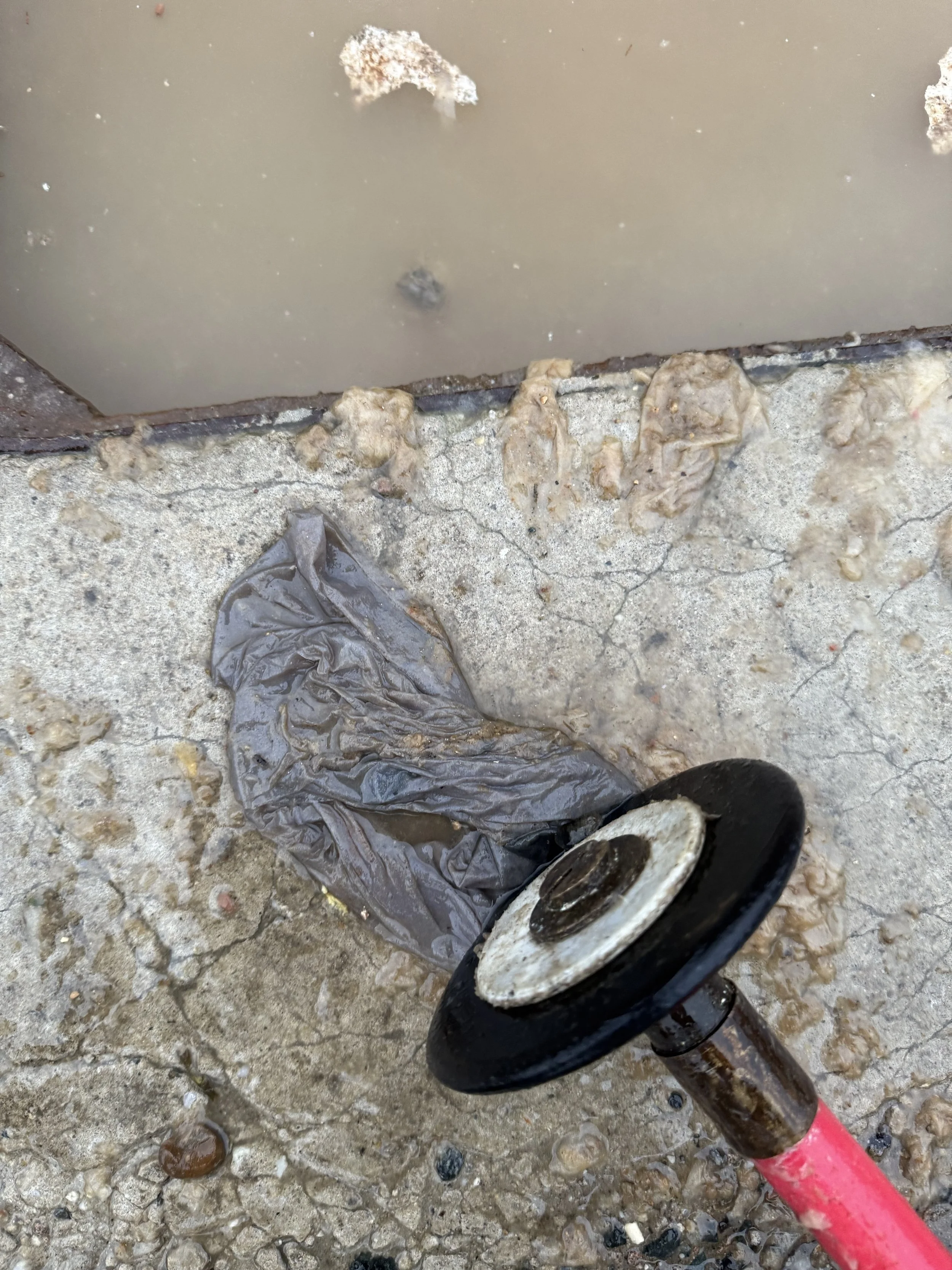 Blocked drain removed wetwipes