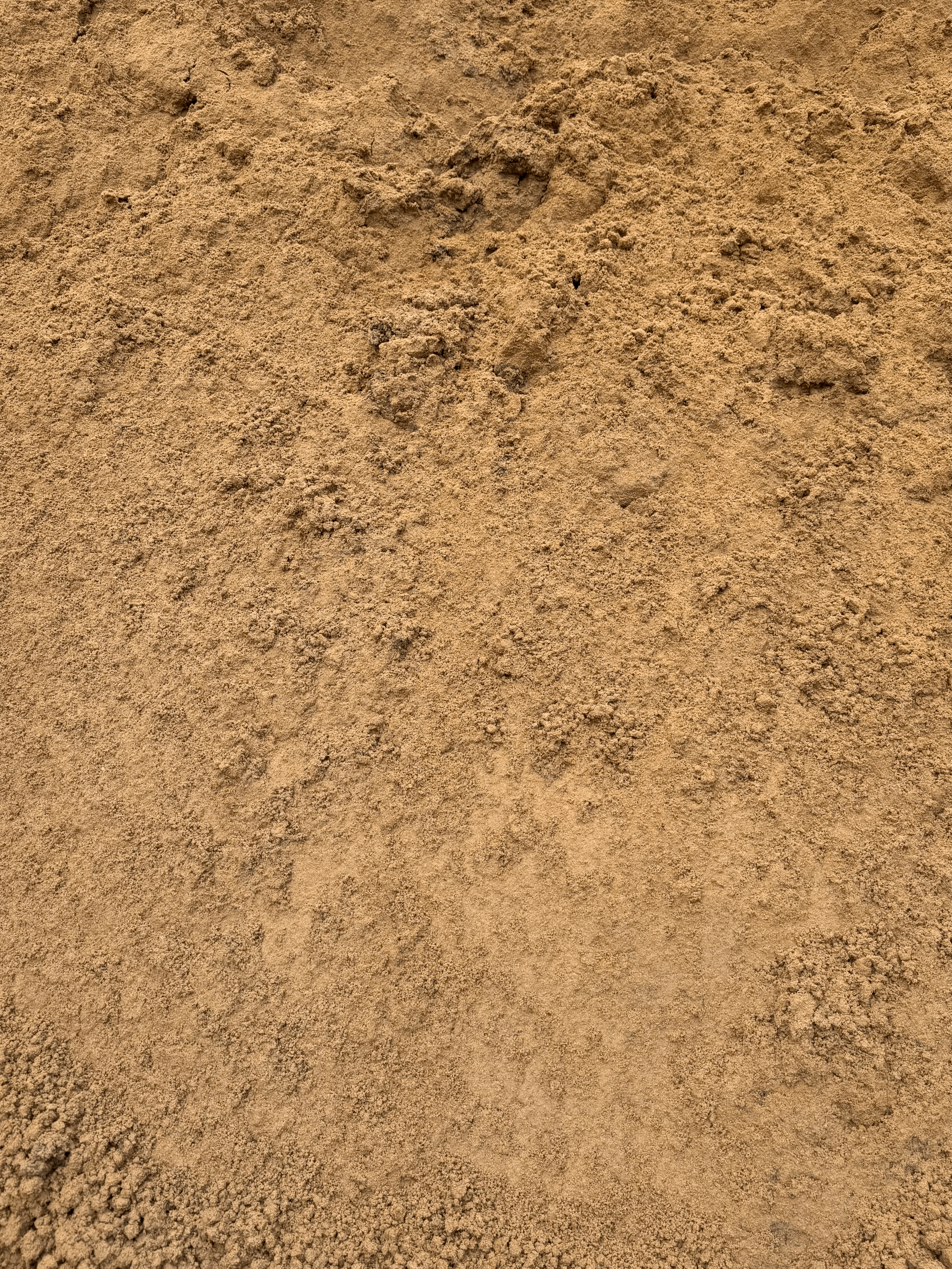 Yellow Brick Sand