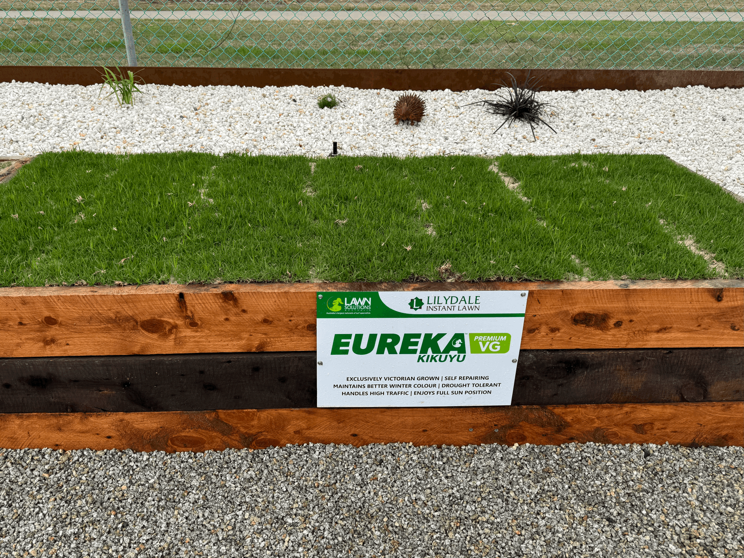 Eureka VG Kikuyu - Lilydale Instant Lawn