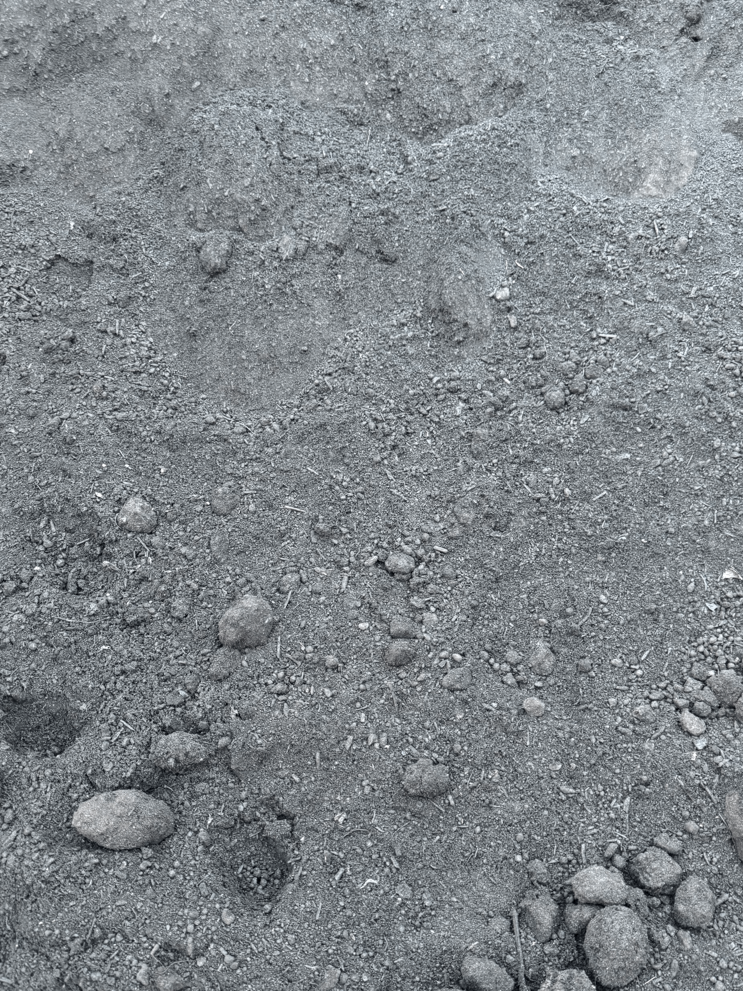 Revive Compost