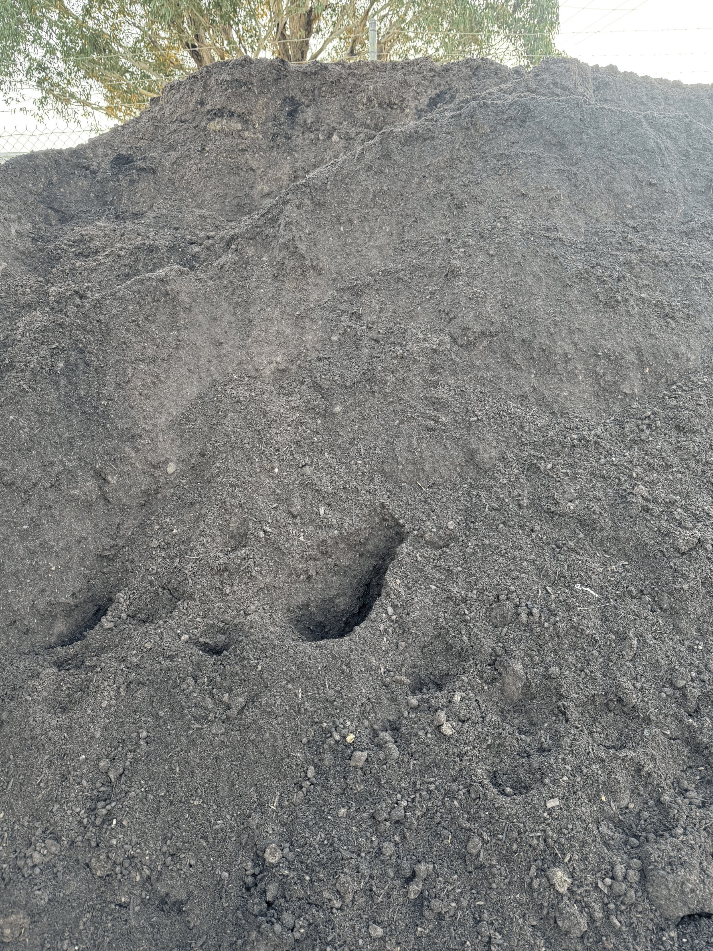 50/50 Blended Soil