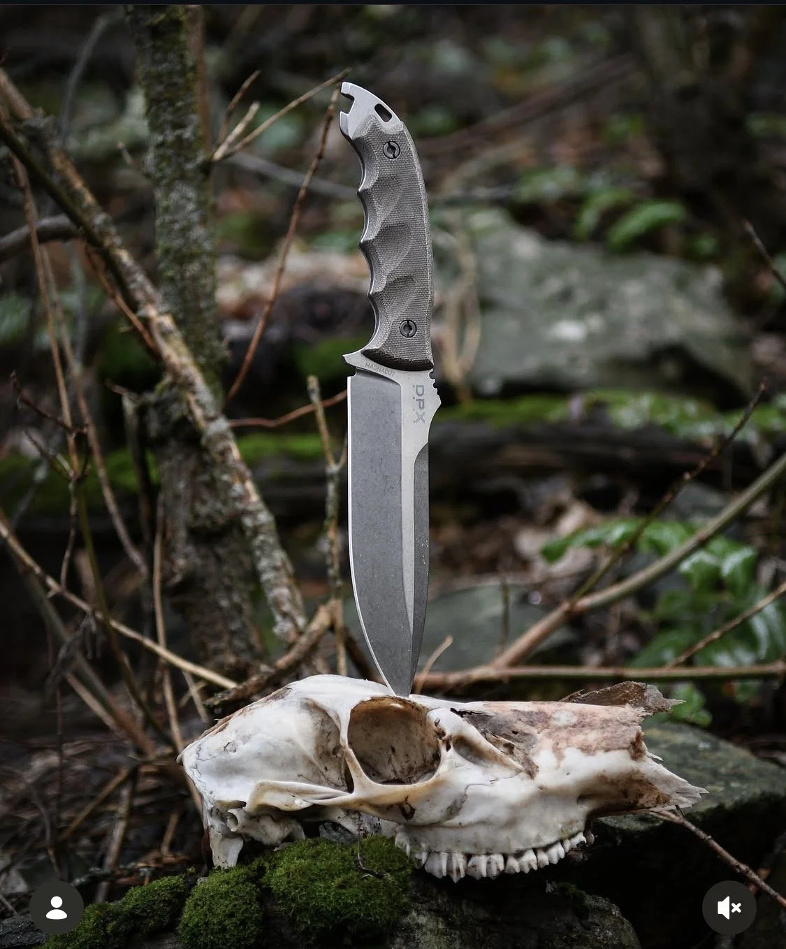 DPx Gear HEST 6 in Stone Wash Magnacut and Olive Drab Sandblasted Canvas Micarta and Leather Sheath