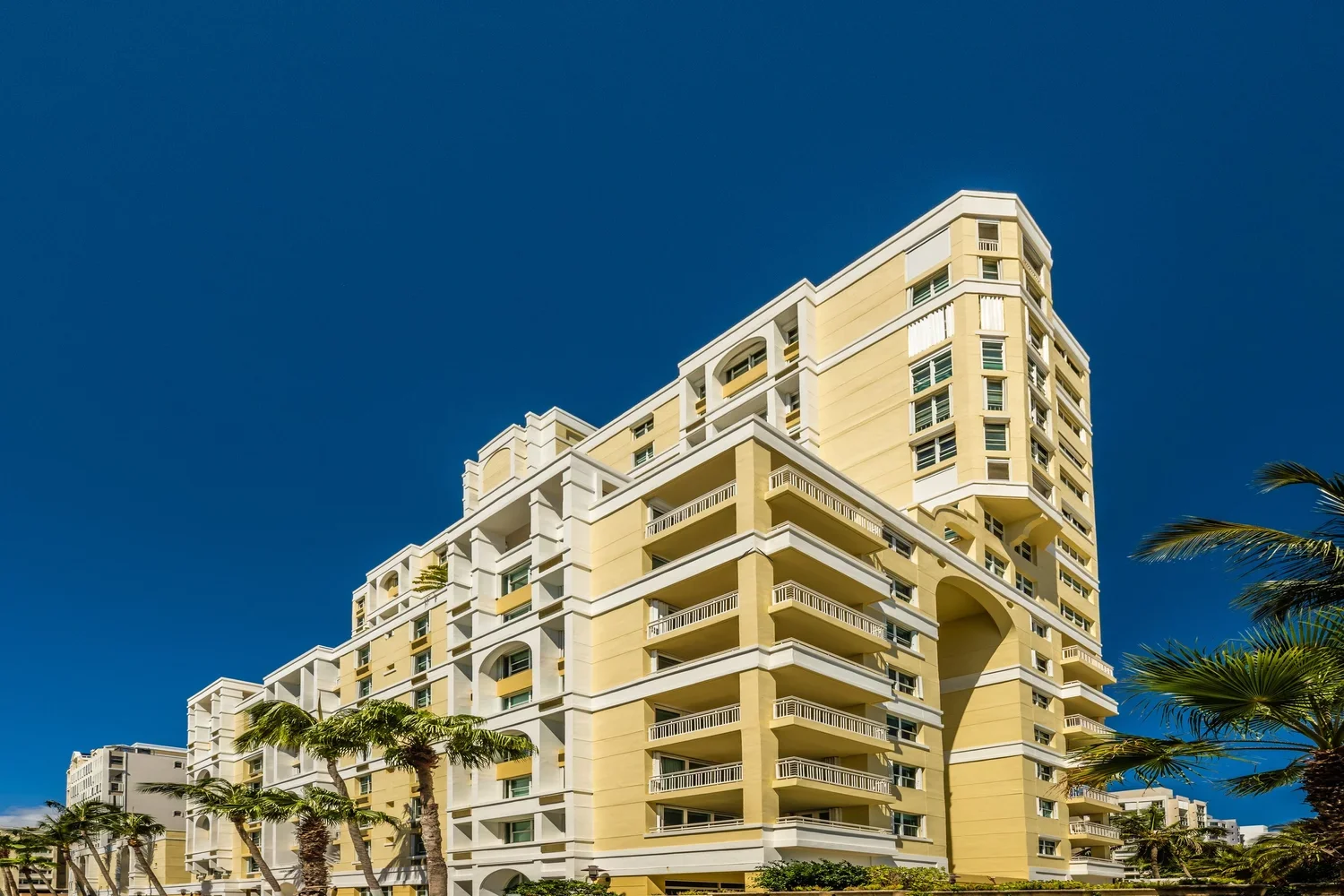 Carrion Court Playa