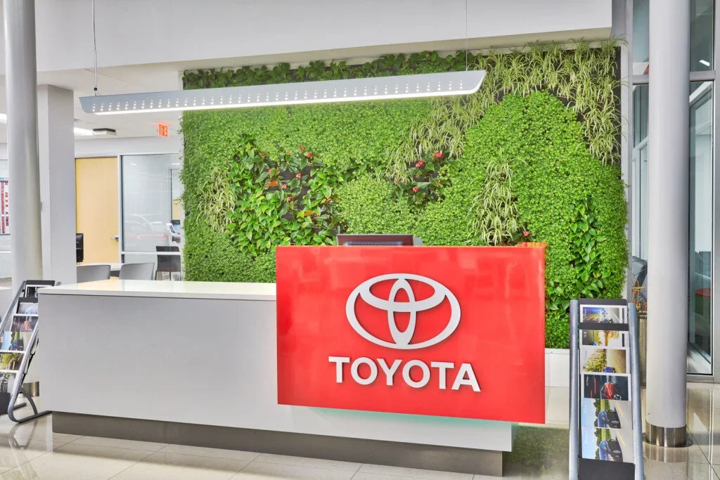 AutocentroToyota6.webp