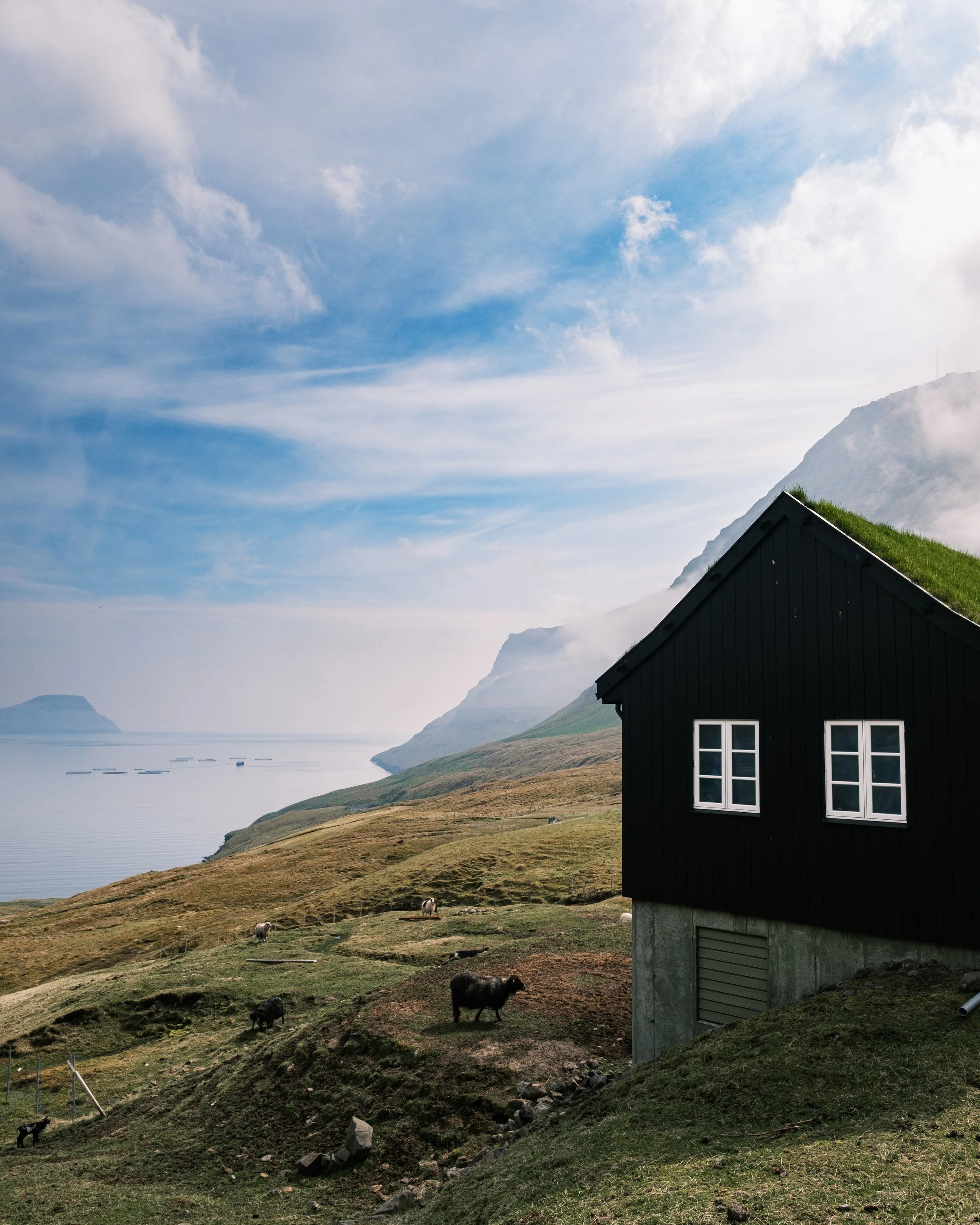 A black wooden house with a green roof situated on a grassy hillside overlooking water, with cows grazing and mountains in the background under a partly cloudy sky.