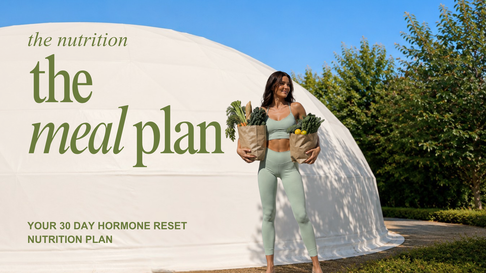 The Meal Plan.png