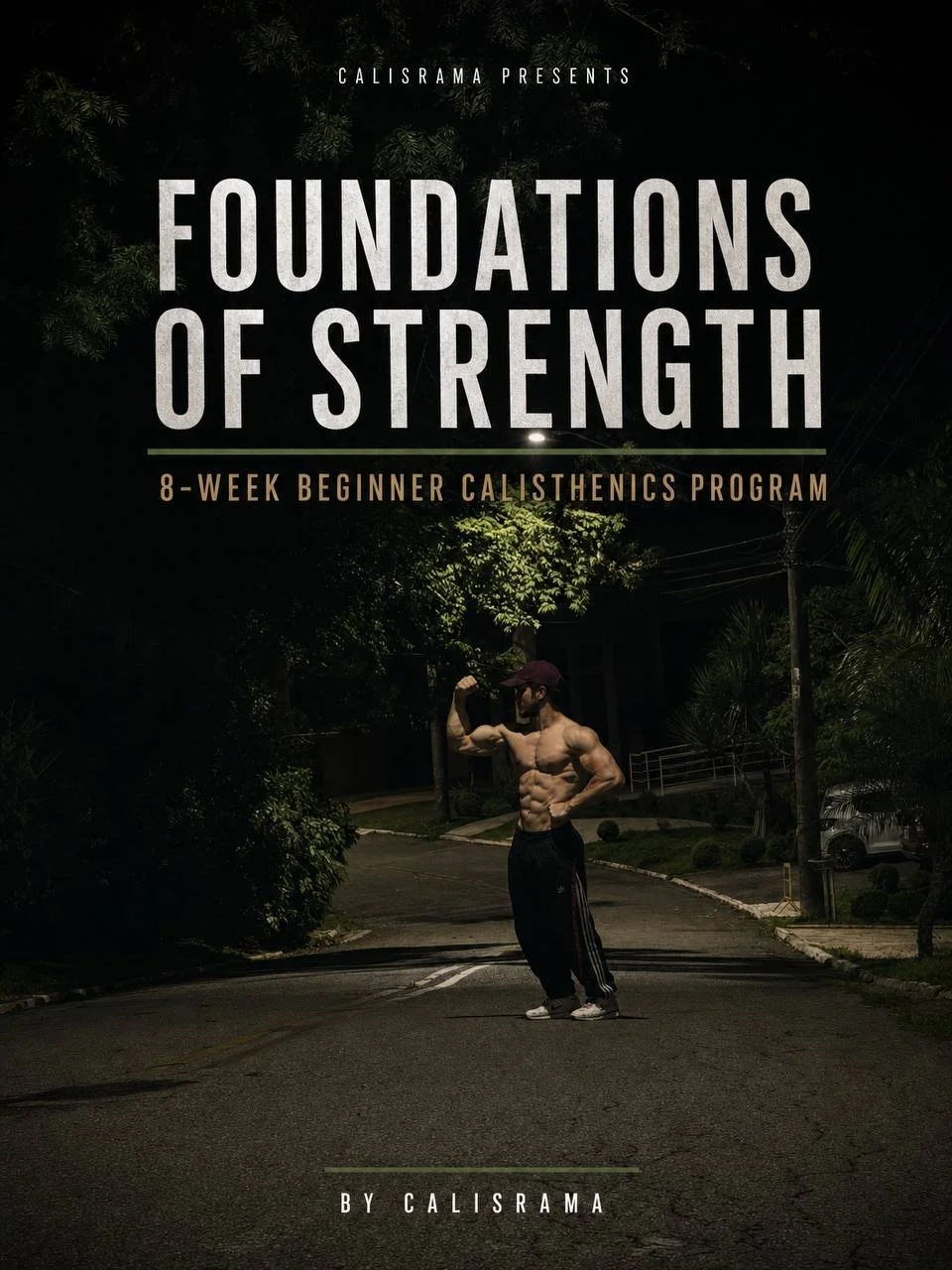 FOUNDATIONS OF STRENGHT (beginners)