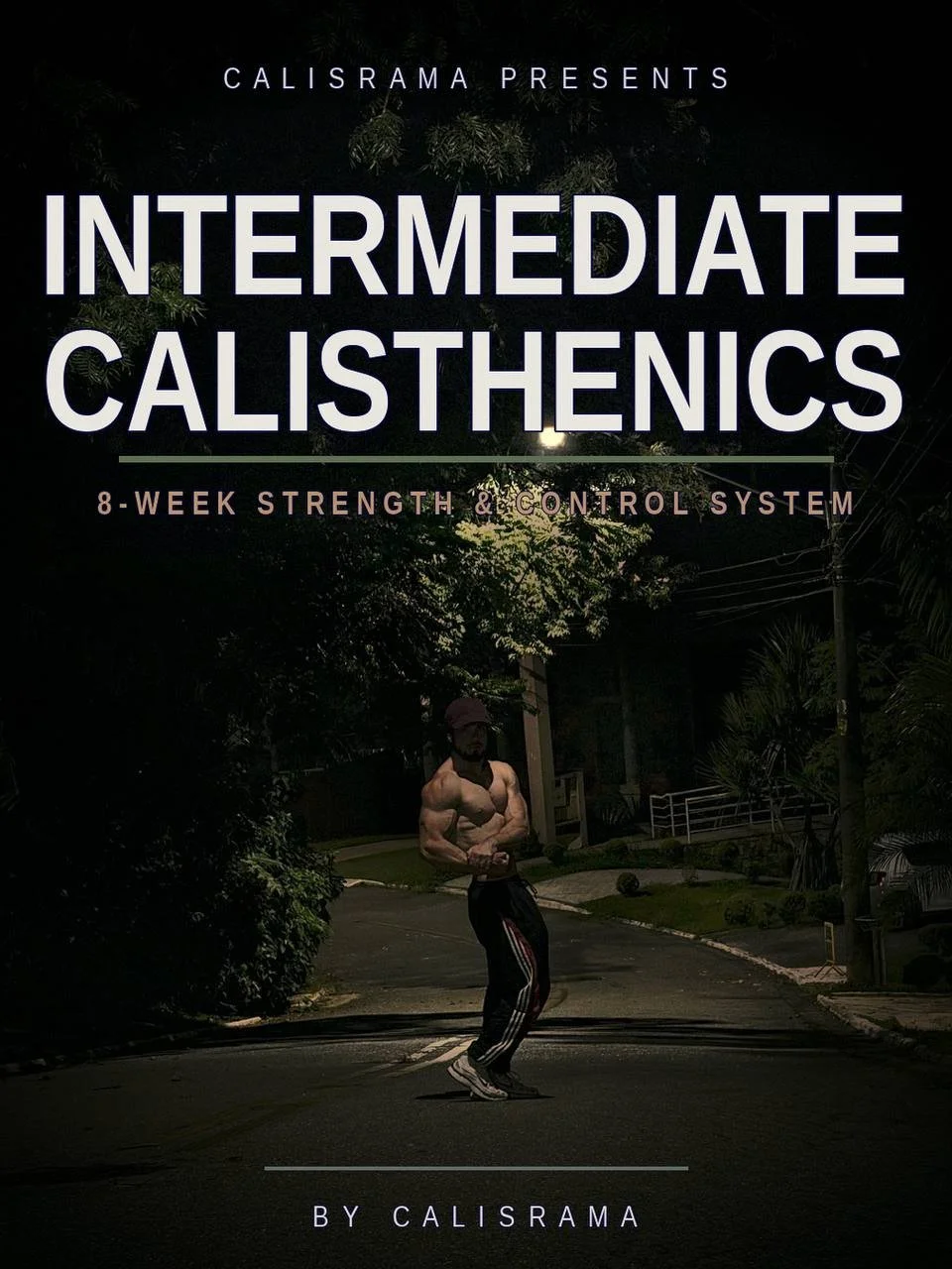 INTERMEDIATE PROGRAM (beginners)
