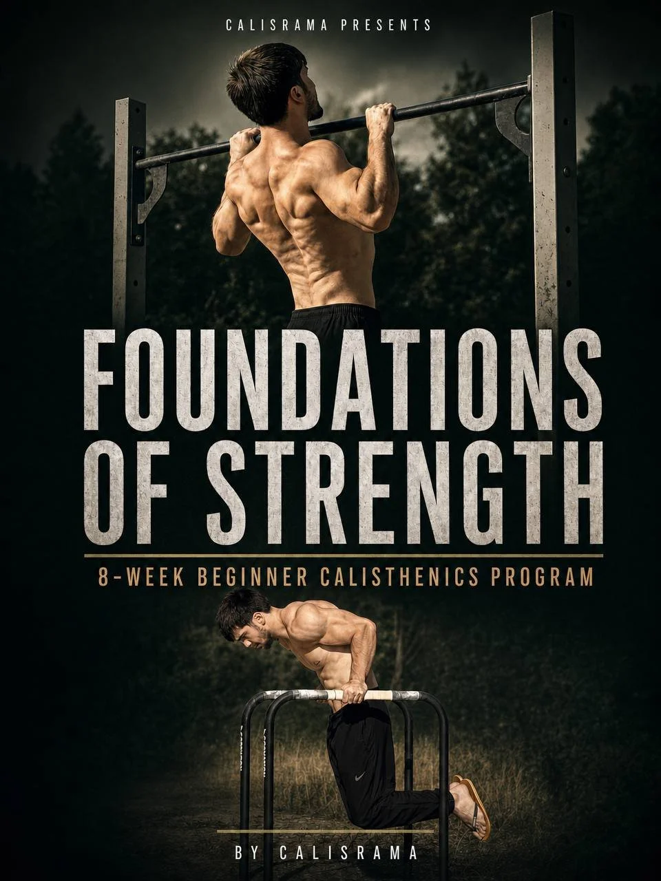 FOUNDATIONS OF STRENGHT (beginners)