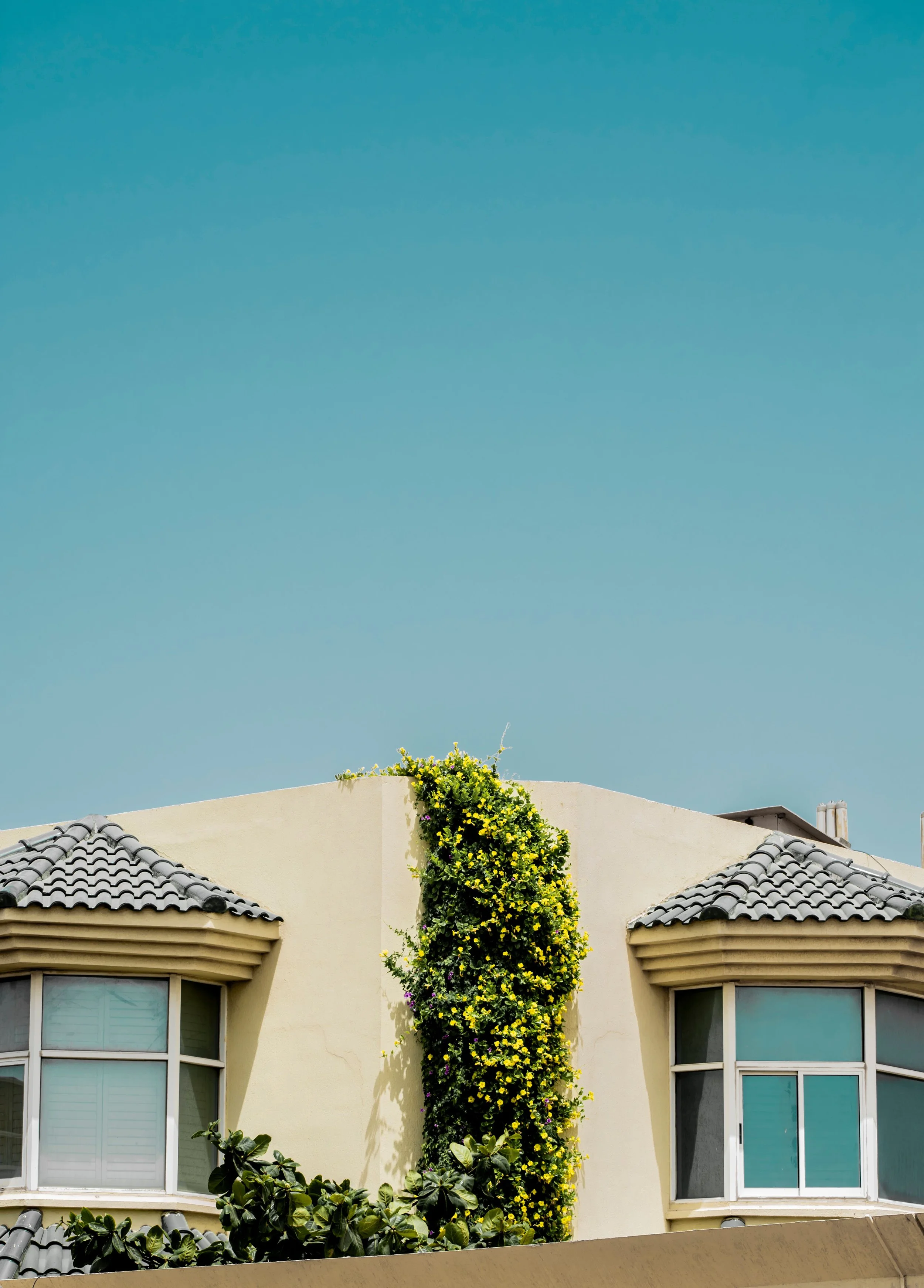 New Property Project Assessment