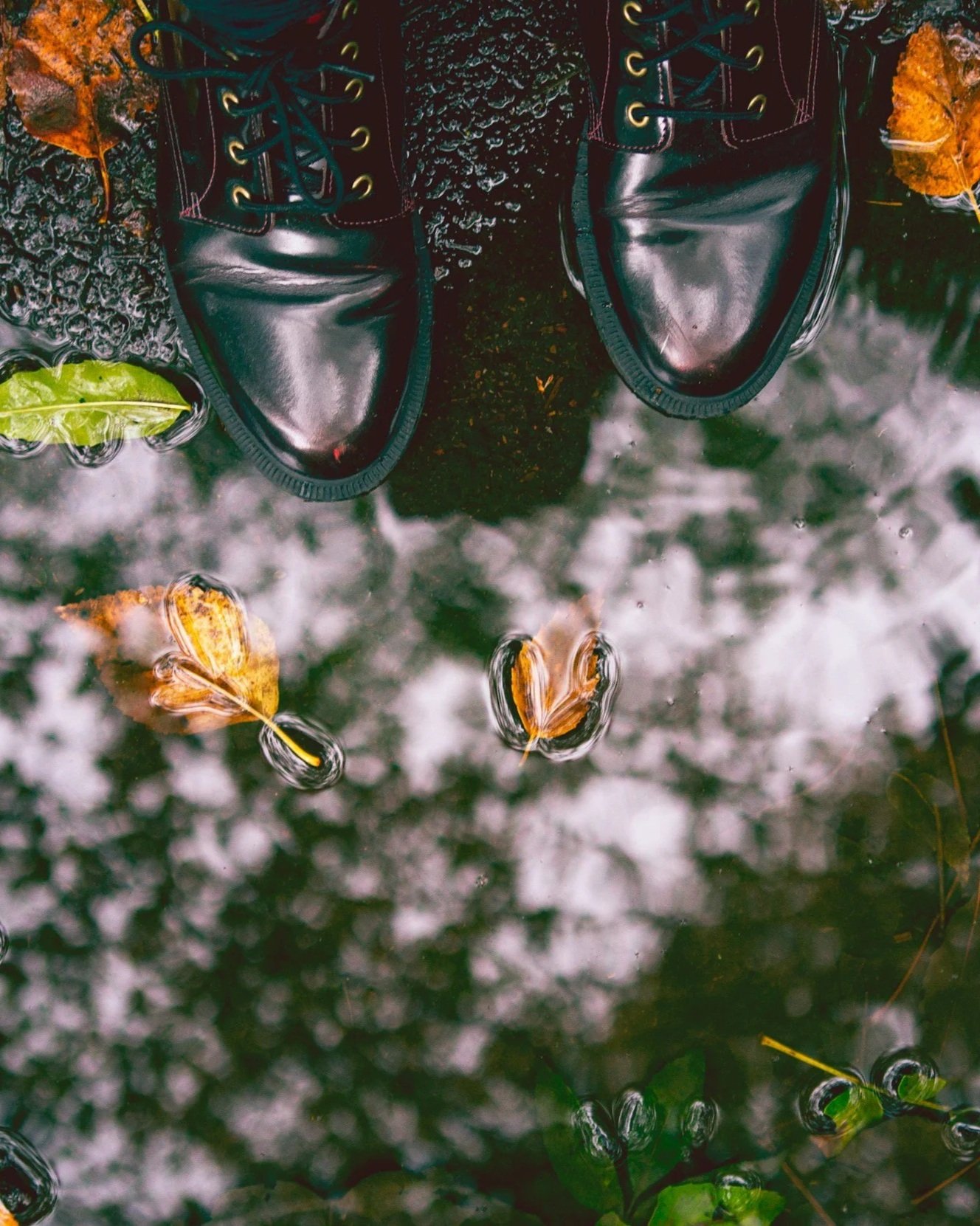A pair of black leather shoes standing in a puddle on an autumn leaves-covered ground.