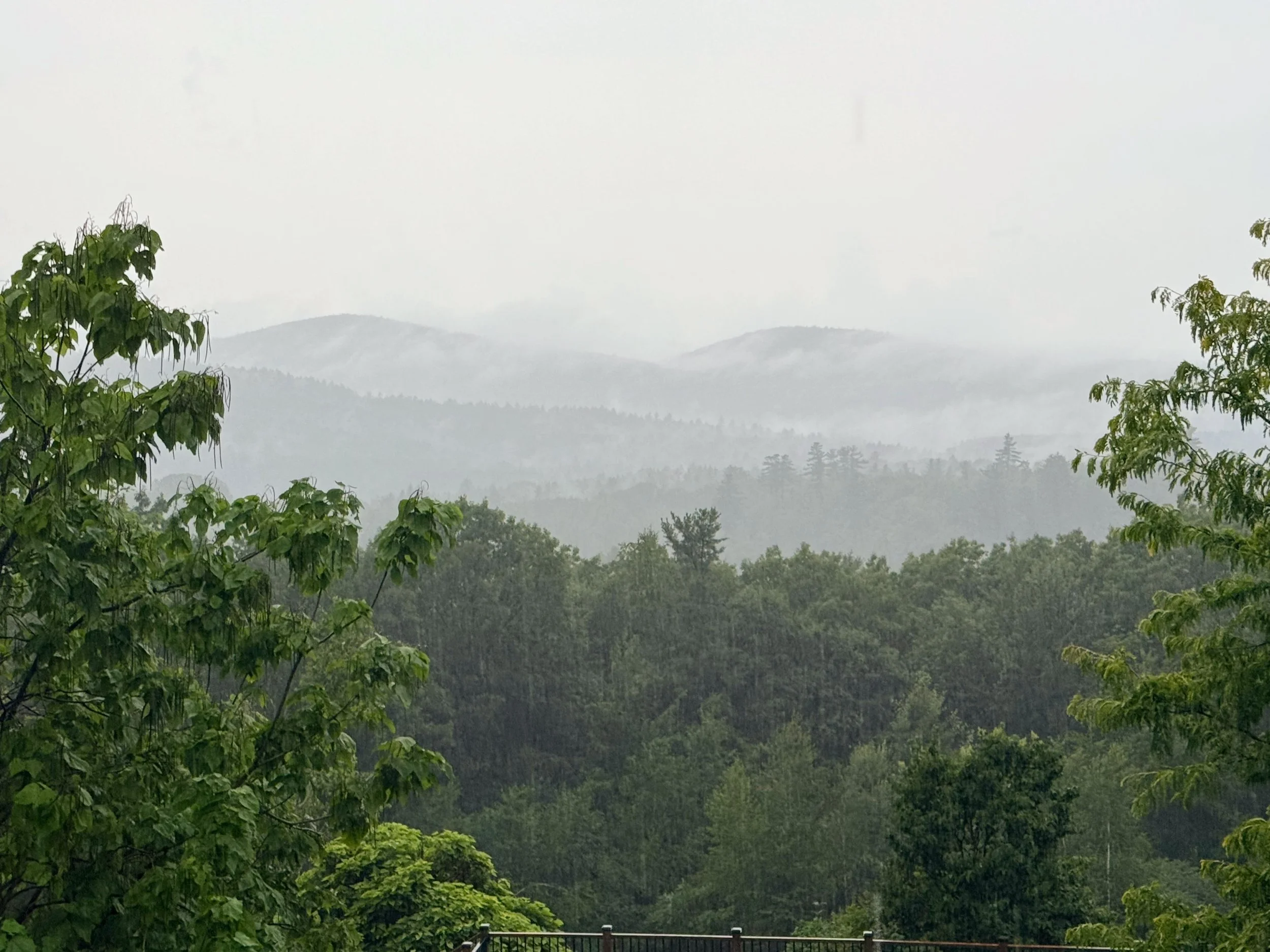 Rain.jpg