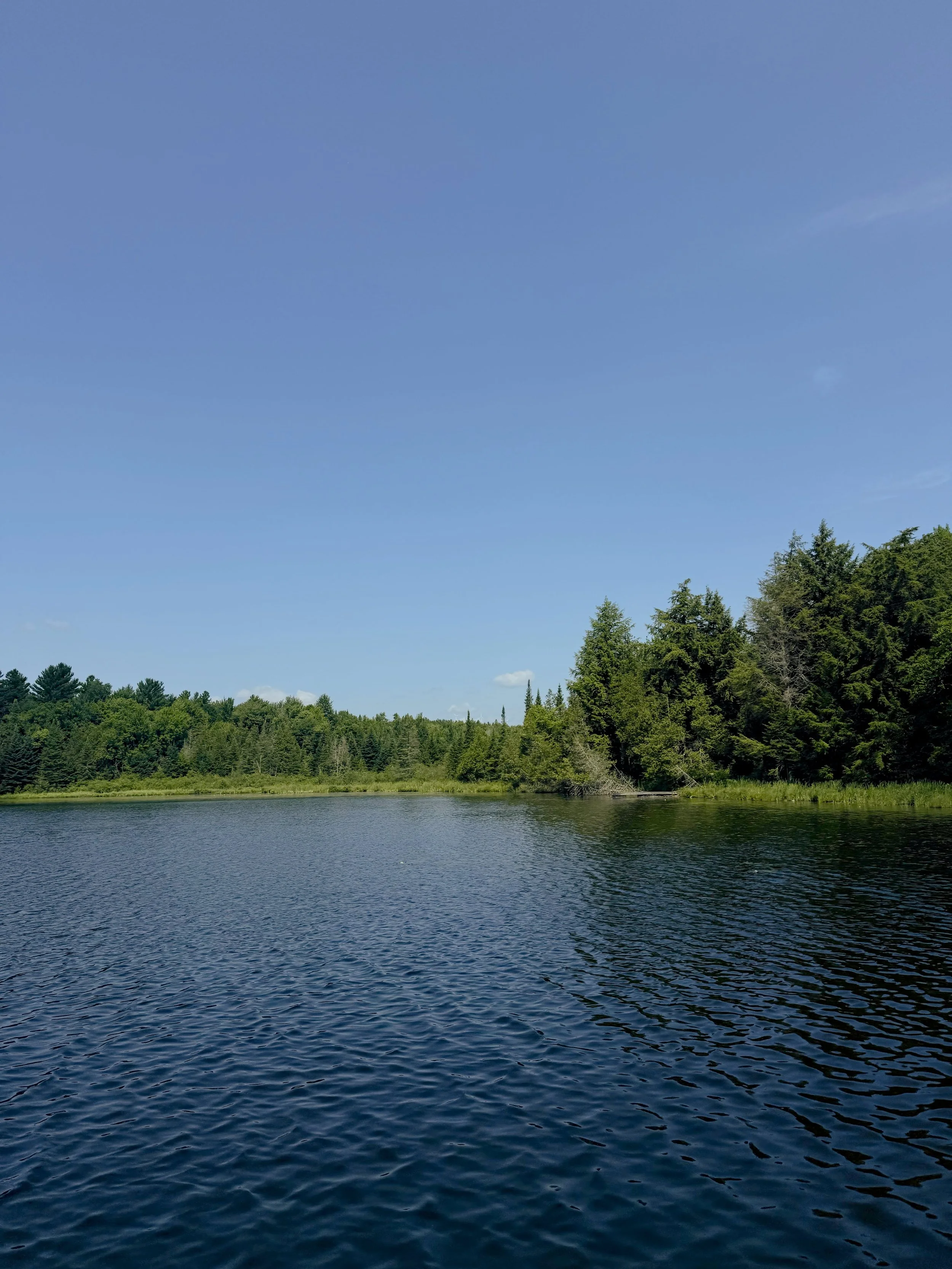 Pond.jpg