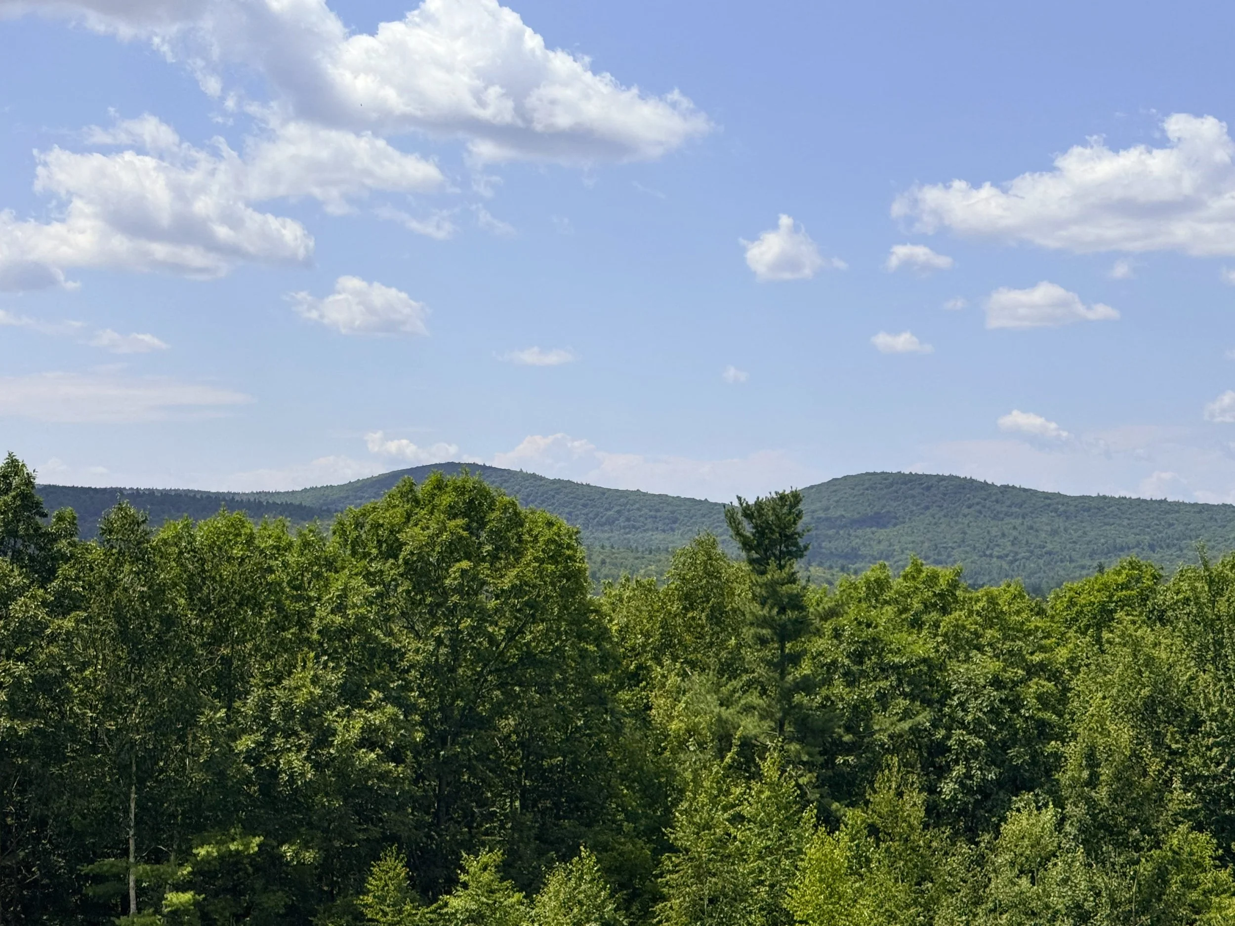 Self-made Artist Retreat