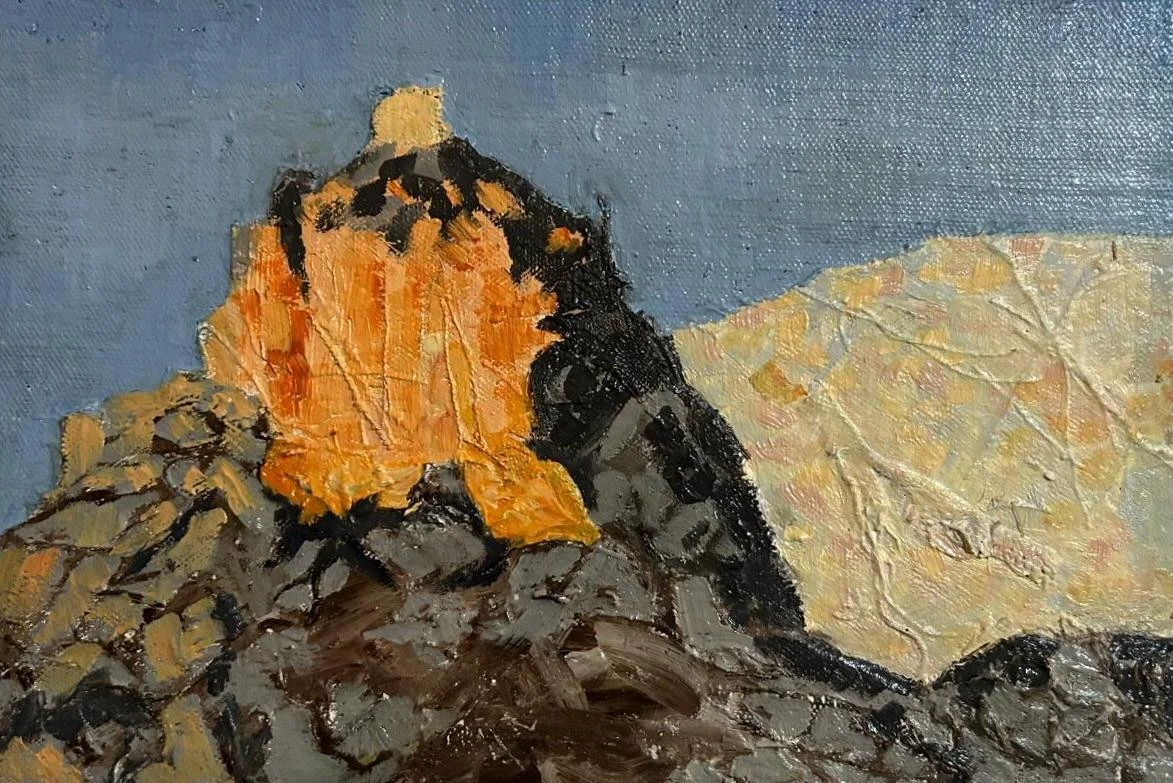 Red Mountain  29x20 Oils on collage of fabric, on board