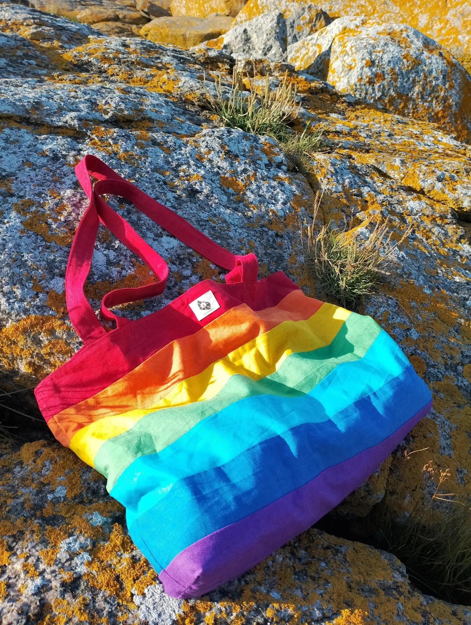 Rainbow Everyday Bag