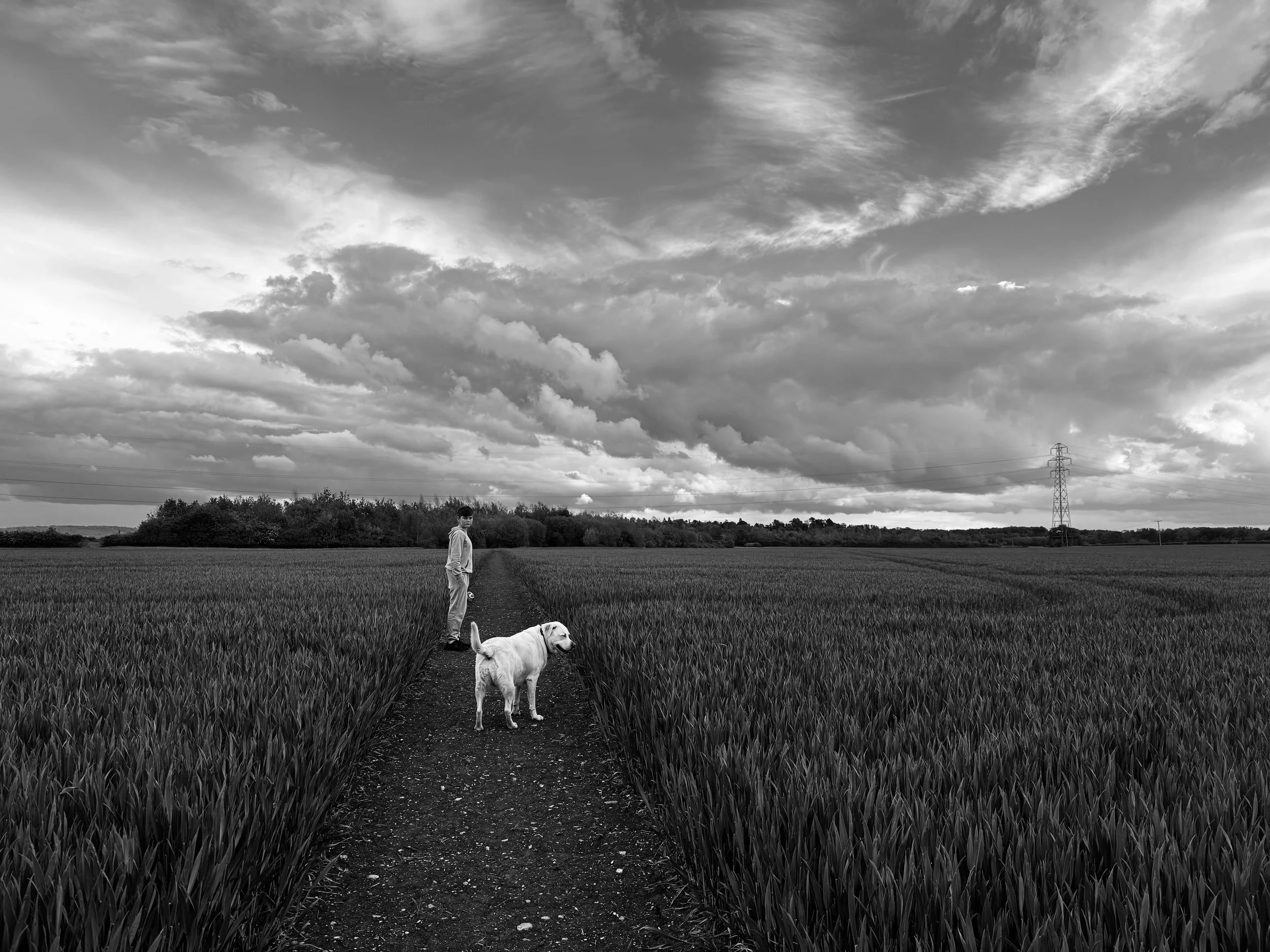 A black and white photo of a boy and a dog walking along a dirt path through a field of tall grass, with a background of trees, clouds, and a power line tower.