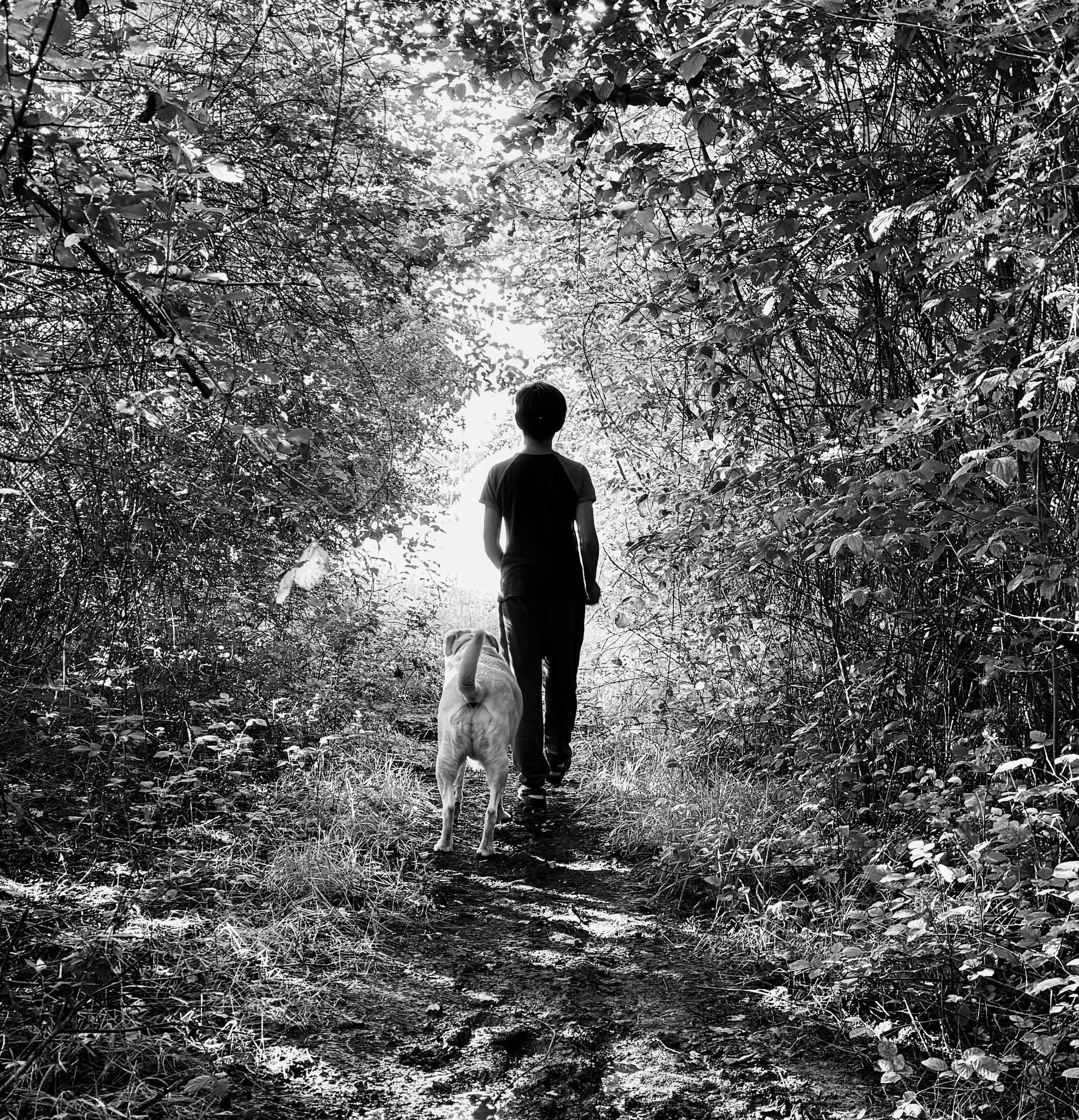 A person walking on a forest path with a dog, surrounded by dense foliage with sunlight streaming through the leaves, captured in black and white.