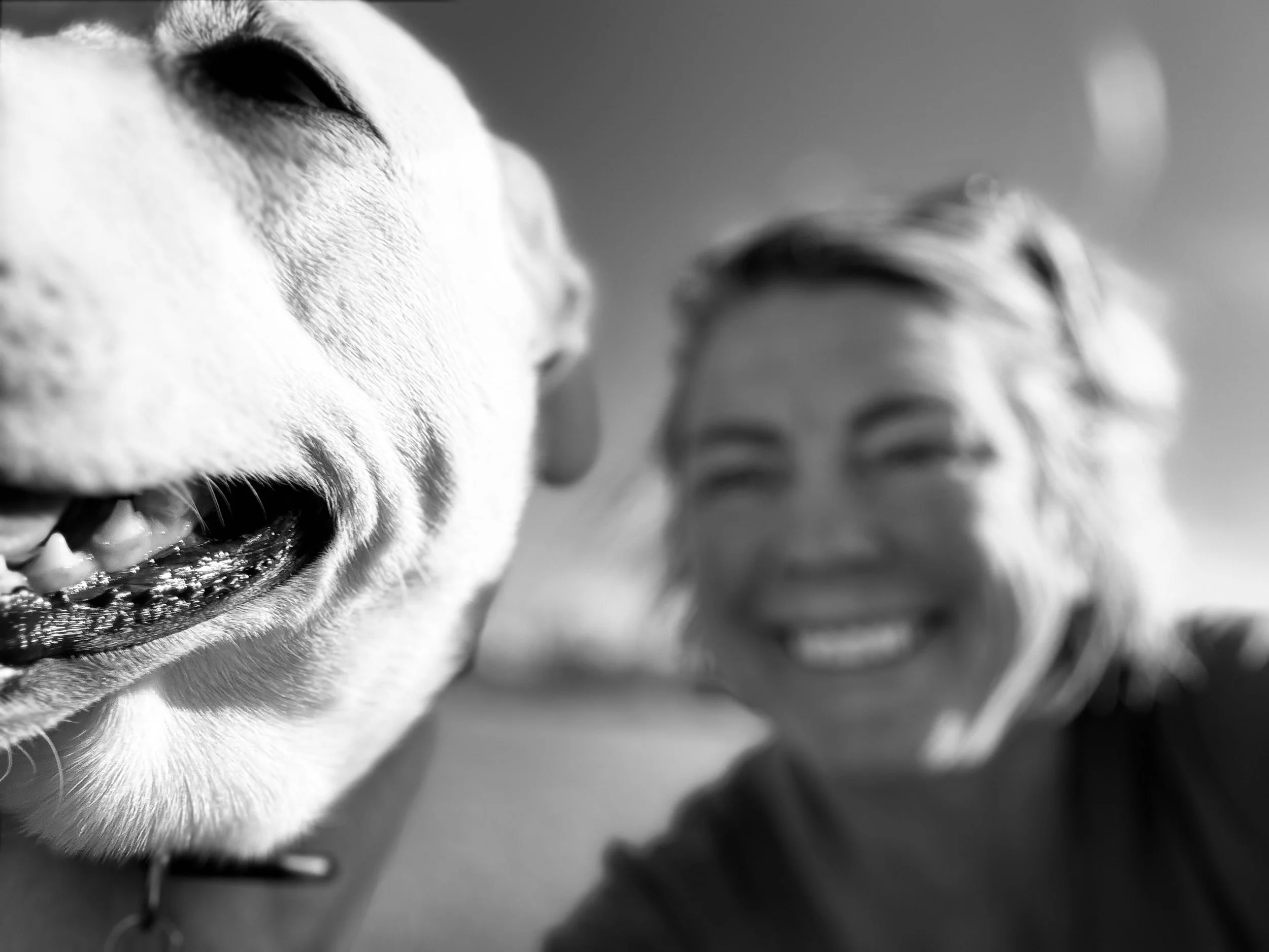 Close-up black and white photo of a dog's face, focusing on its nose and a partial view of a person's face with glasses in the background.