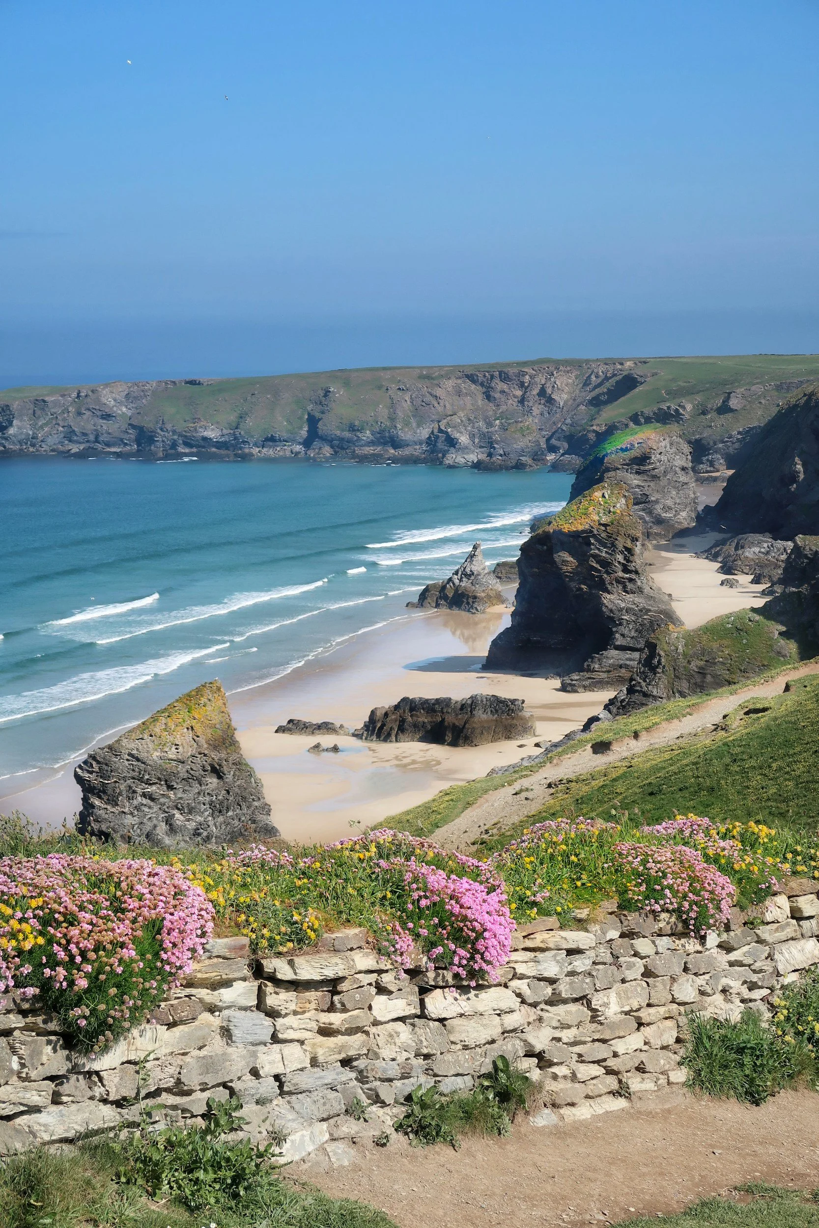 Scenic coastal landscape with rocky cliffs, sandy beach, blue ocean waves, and colorful flowering plants in the foreground.