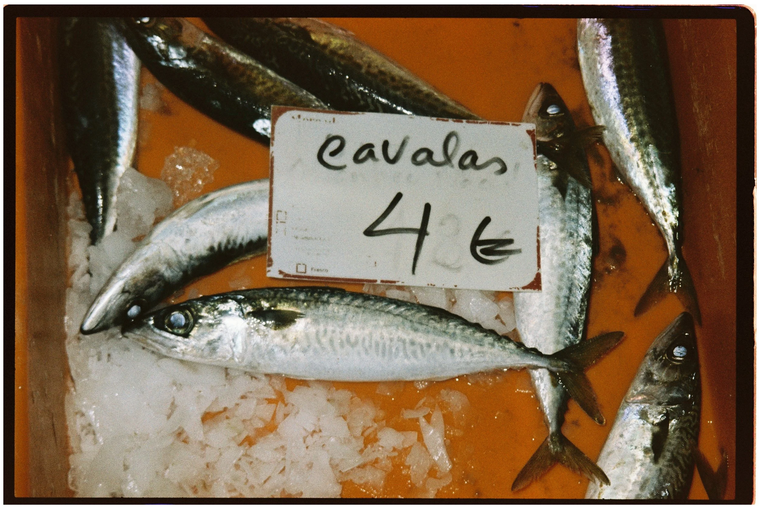 A002625kwagfa4-R1-11-12.jpg