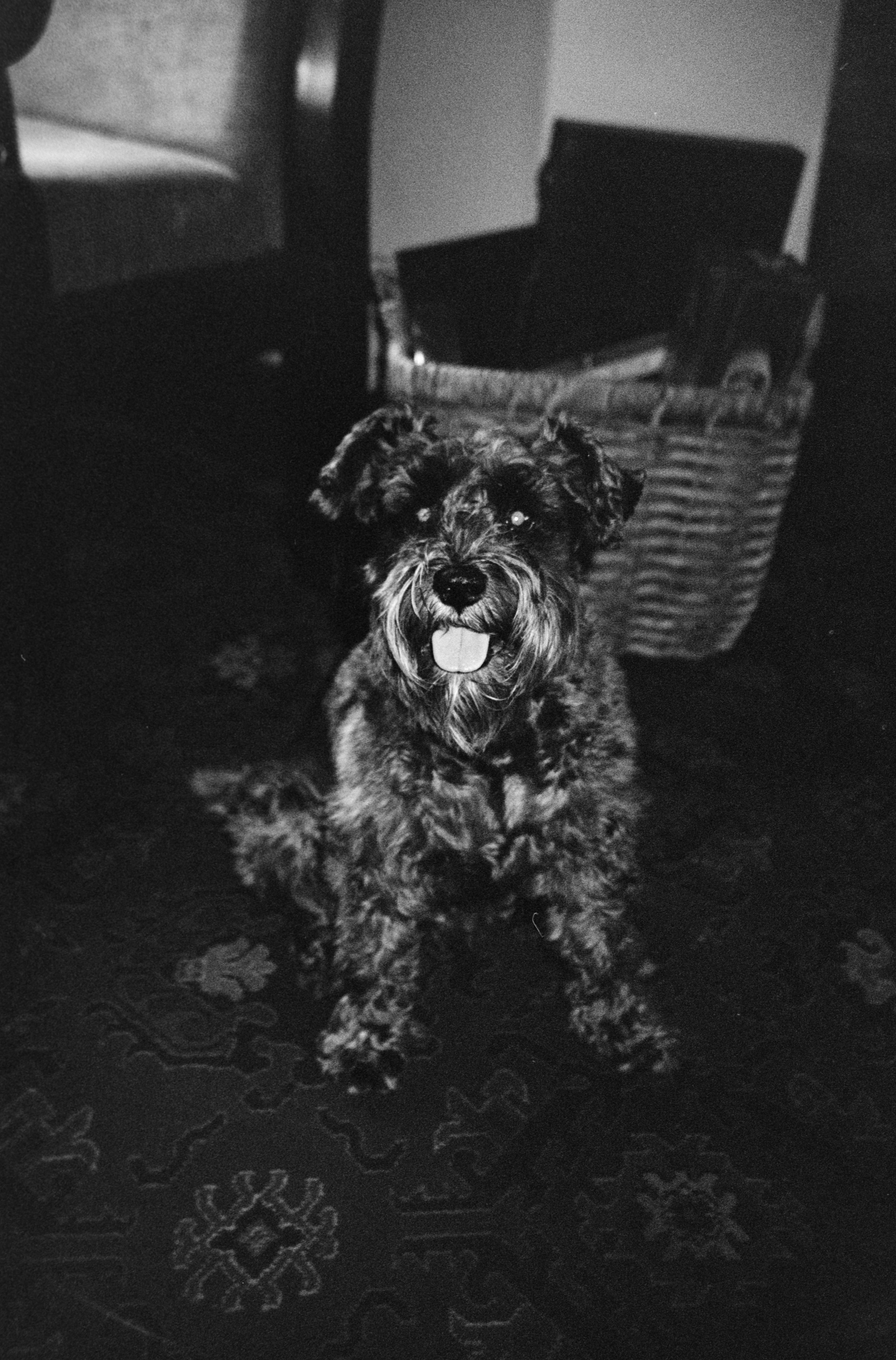 5-5494 Keaton (6 of 33).JPG