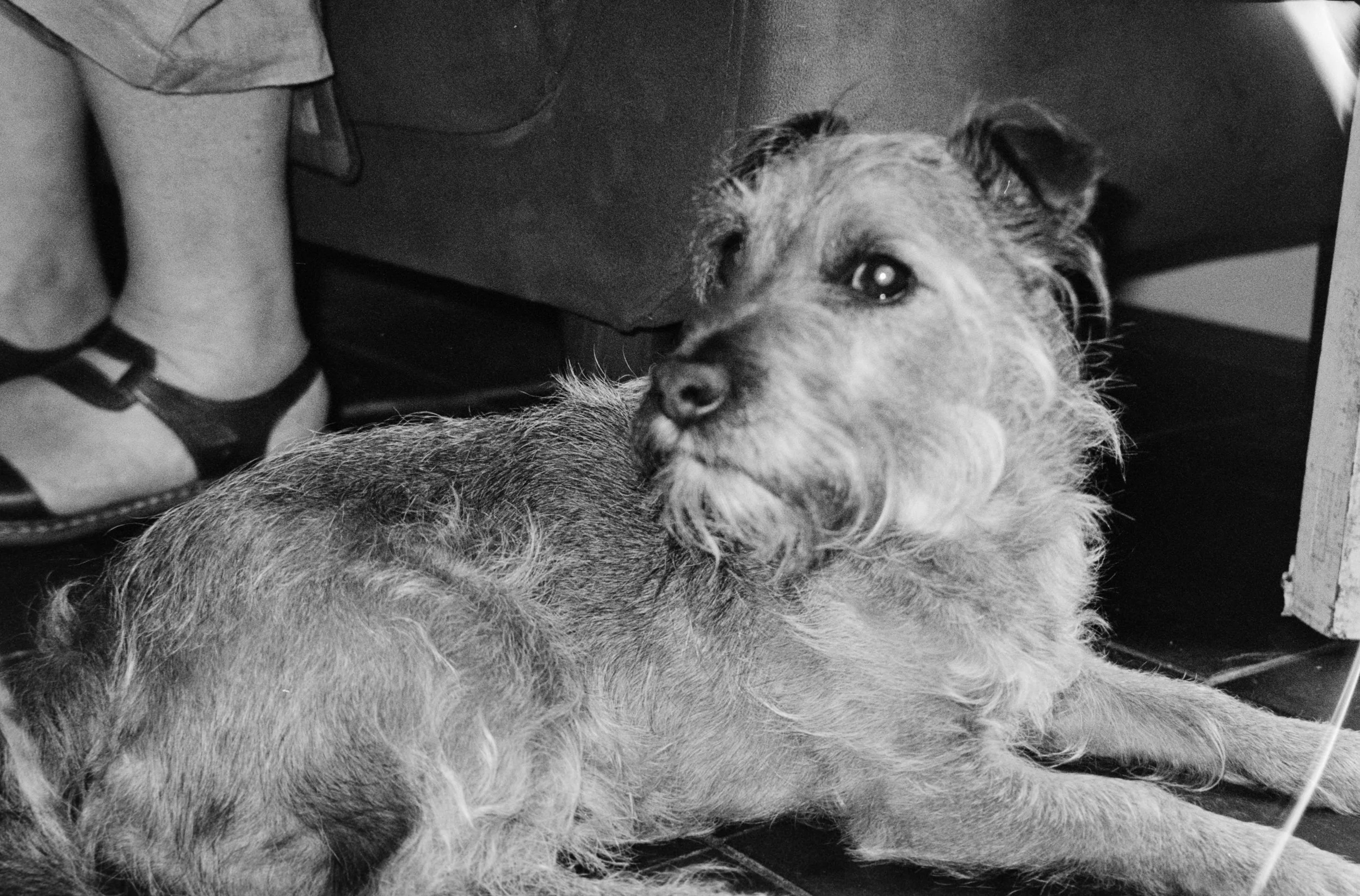 5-5494 Keaton (7 of 33).JPG