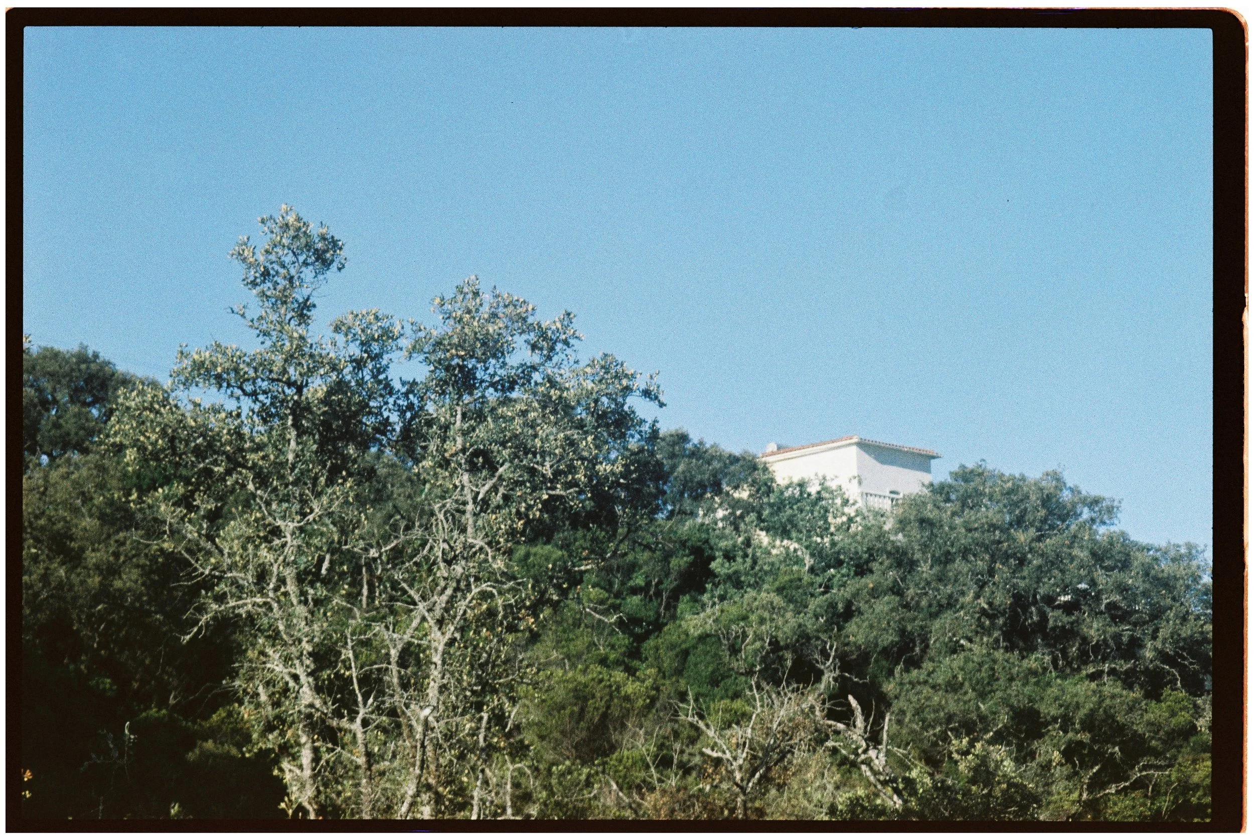 A002625kwagfa4-R1-07-8.jpg