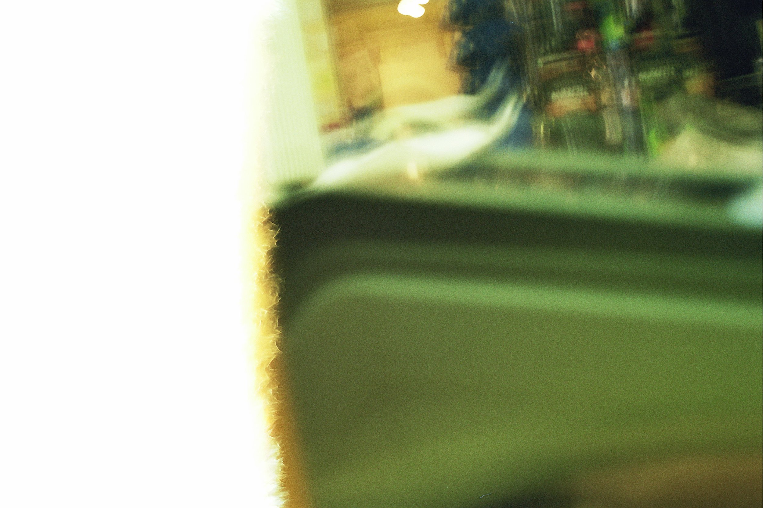 _0A_0350.jpg