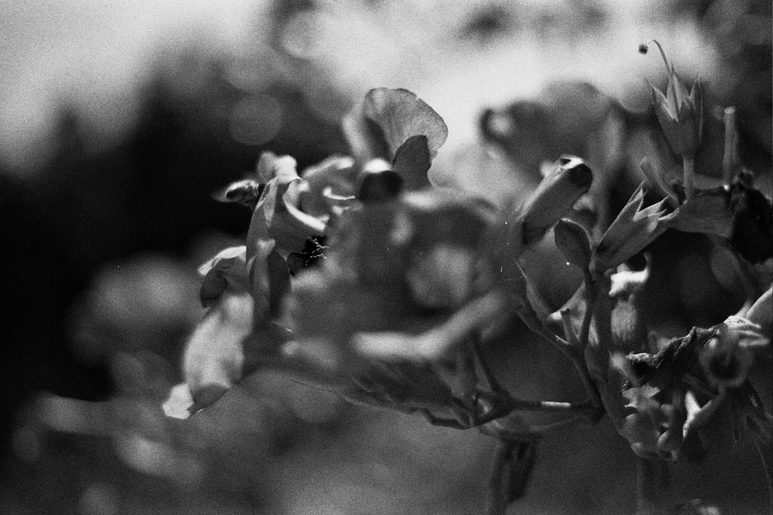 _29_0996.jpg