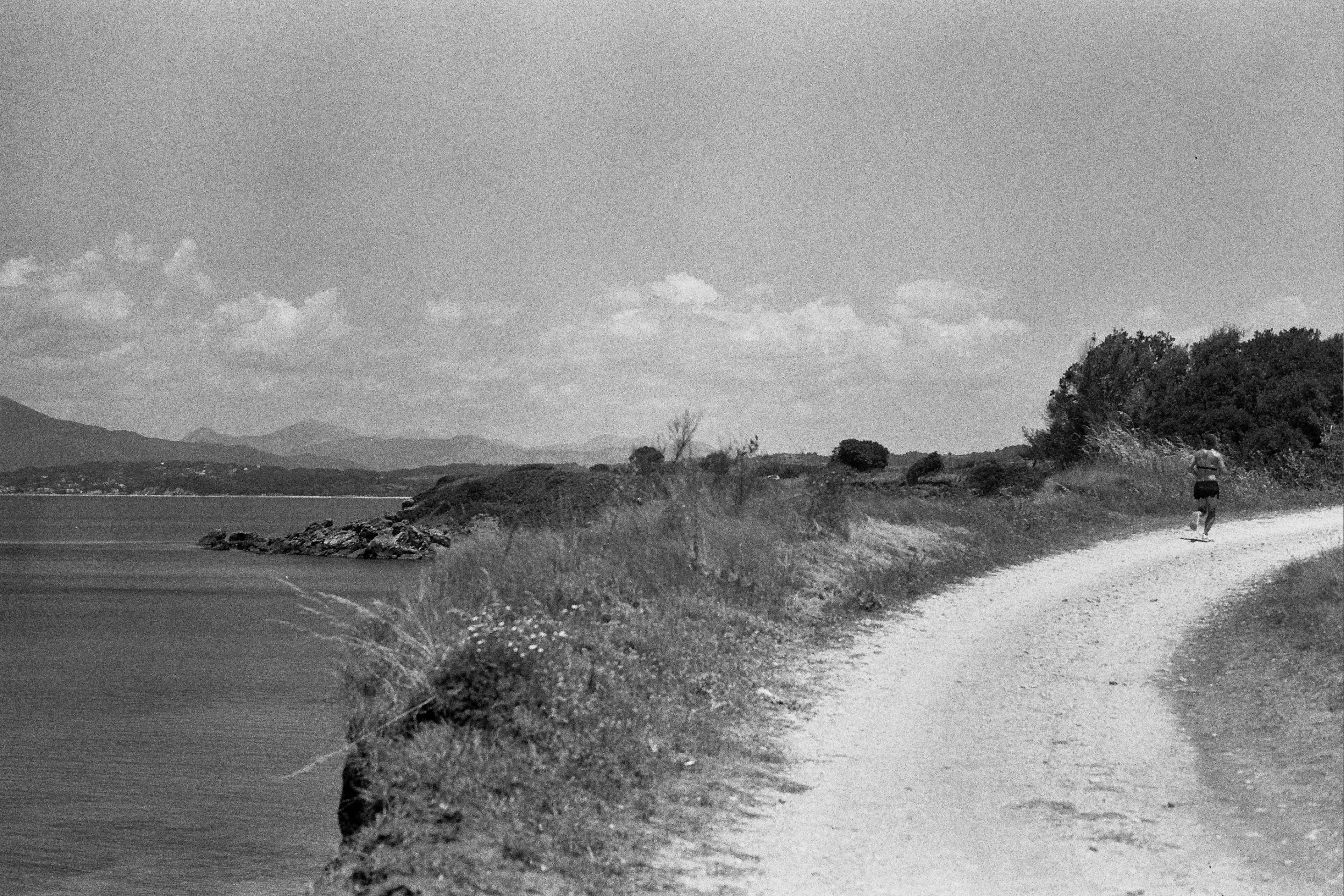 _17_0984.jpg