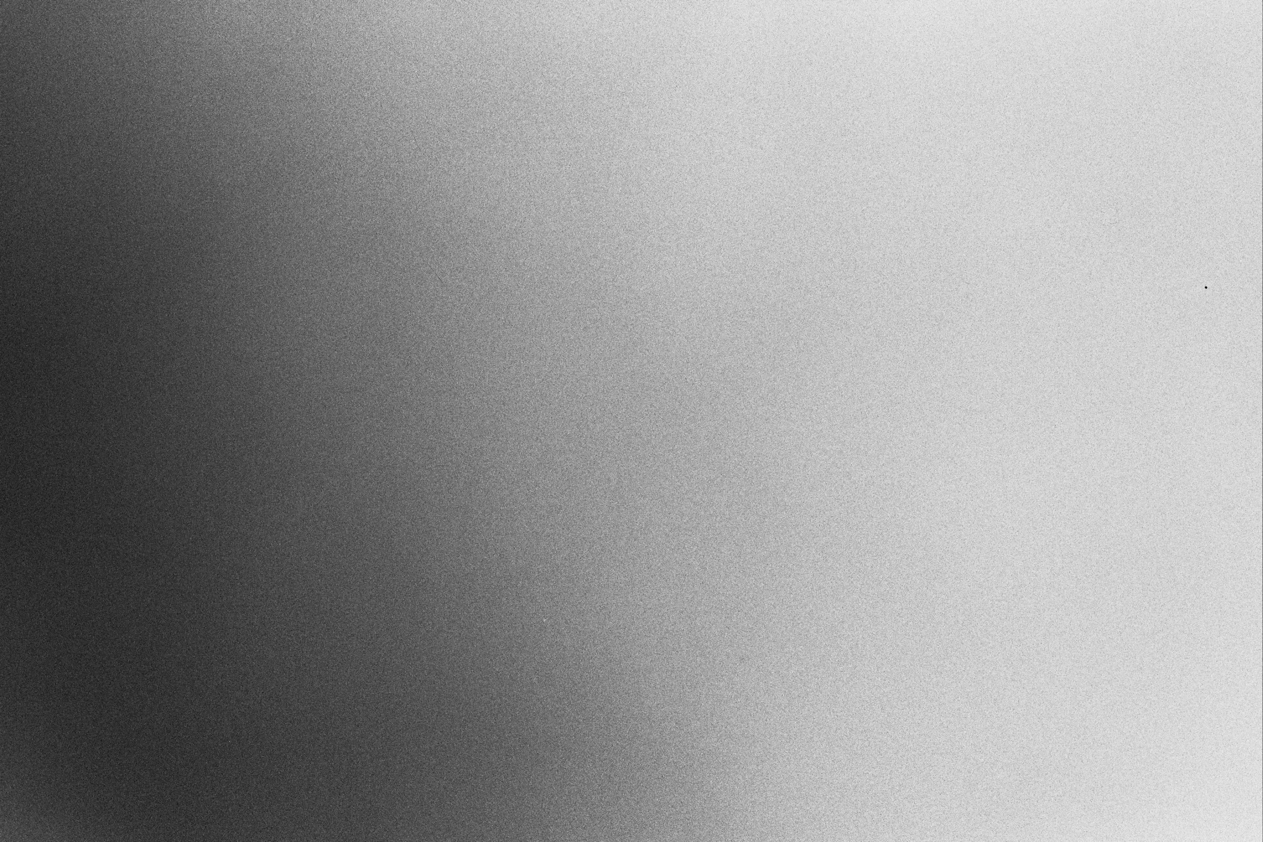 __5_0972.jpg