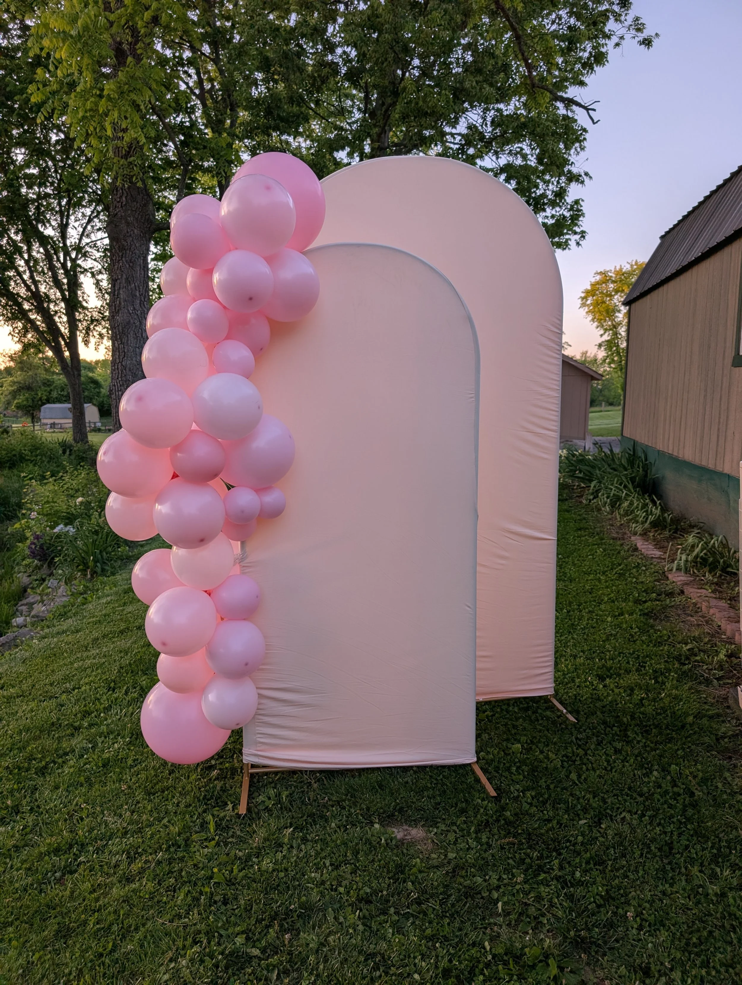 Pink and white balloons arranged along the left side of a large cream-colored, arch-shaped backdrop outdoors during evening or sunset, with green trees and a building in the background.