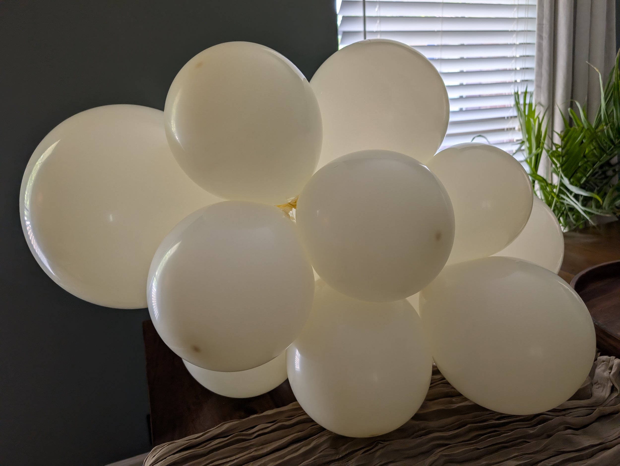 PXL_20260525_205522949.jpg