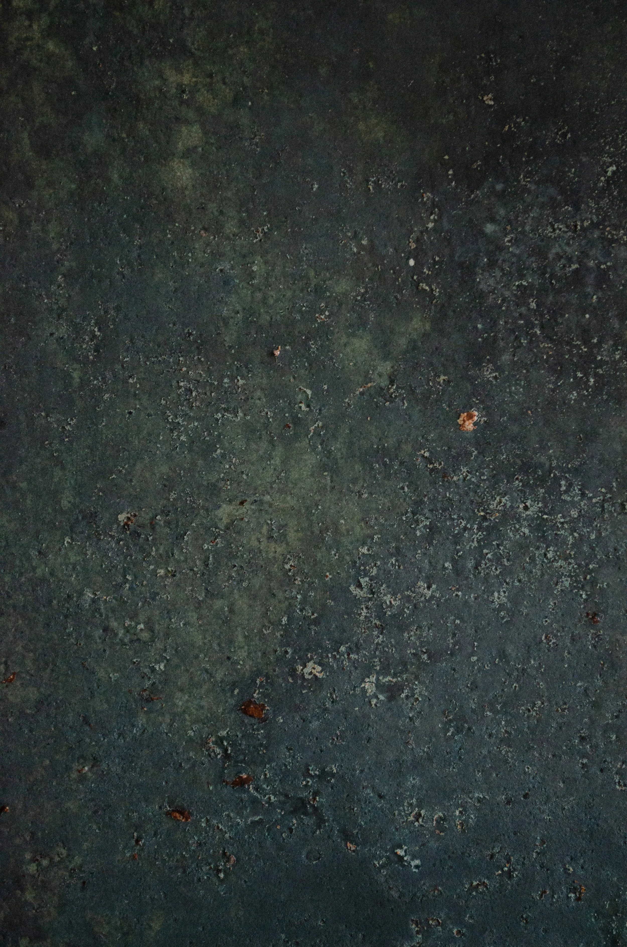 DSC_0251.jpg