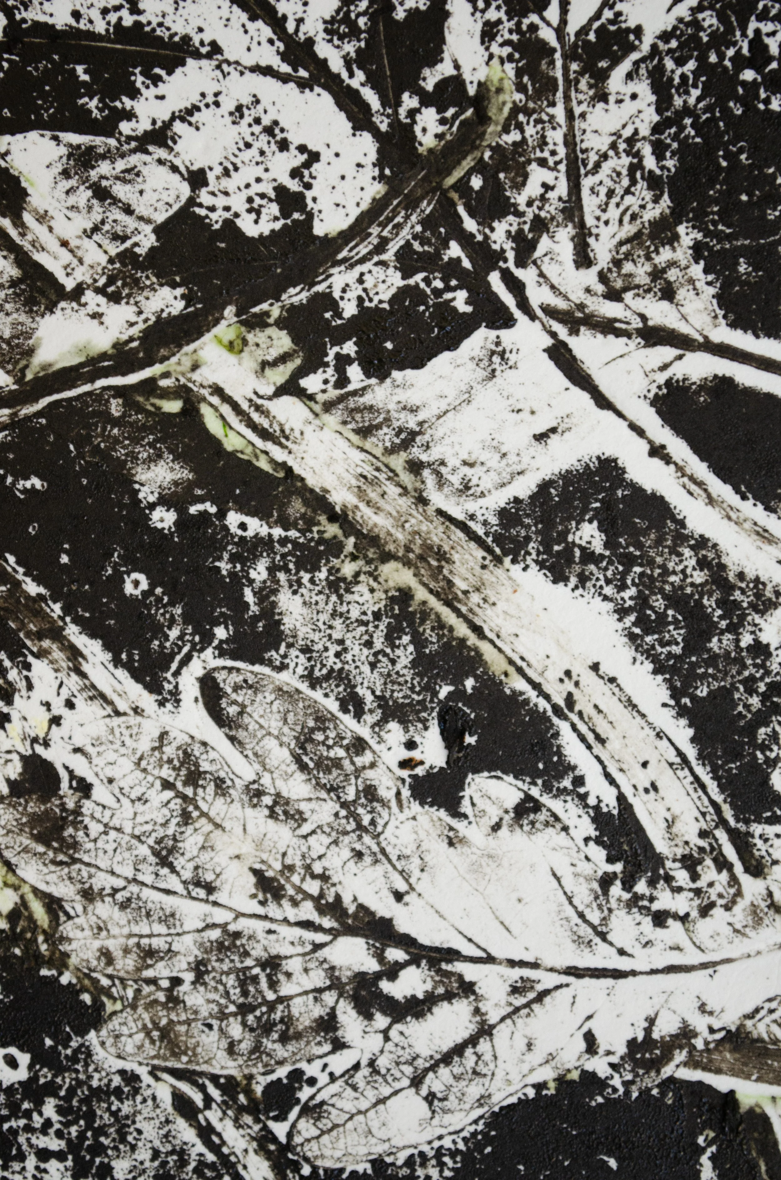proces51.jpg