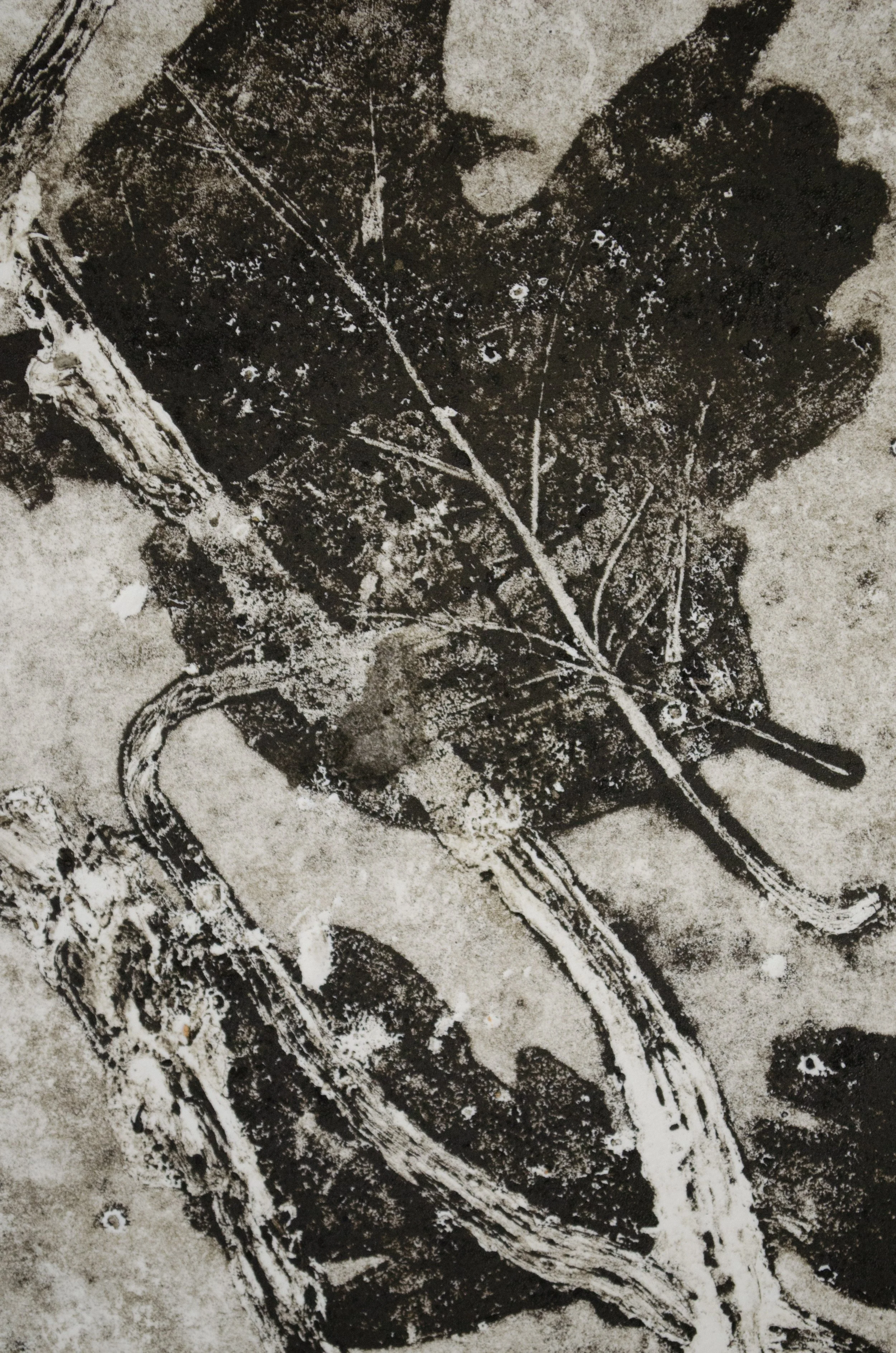 proces67.jpg