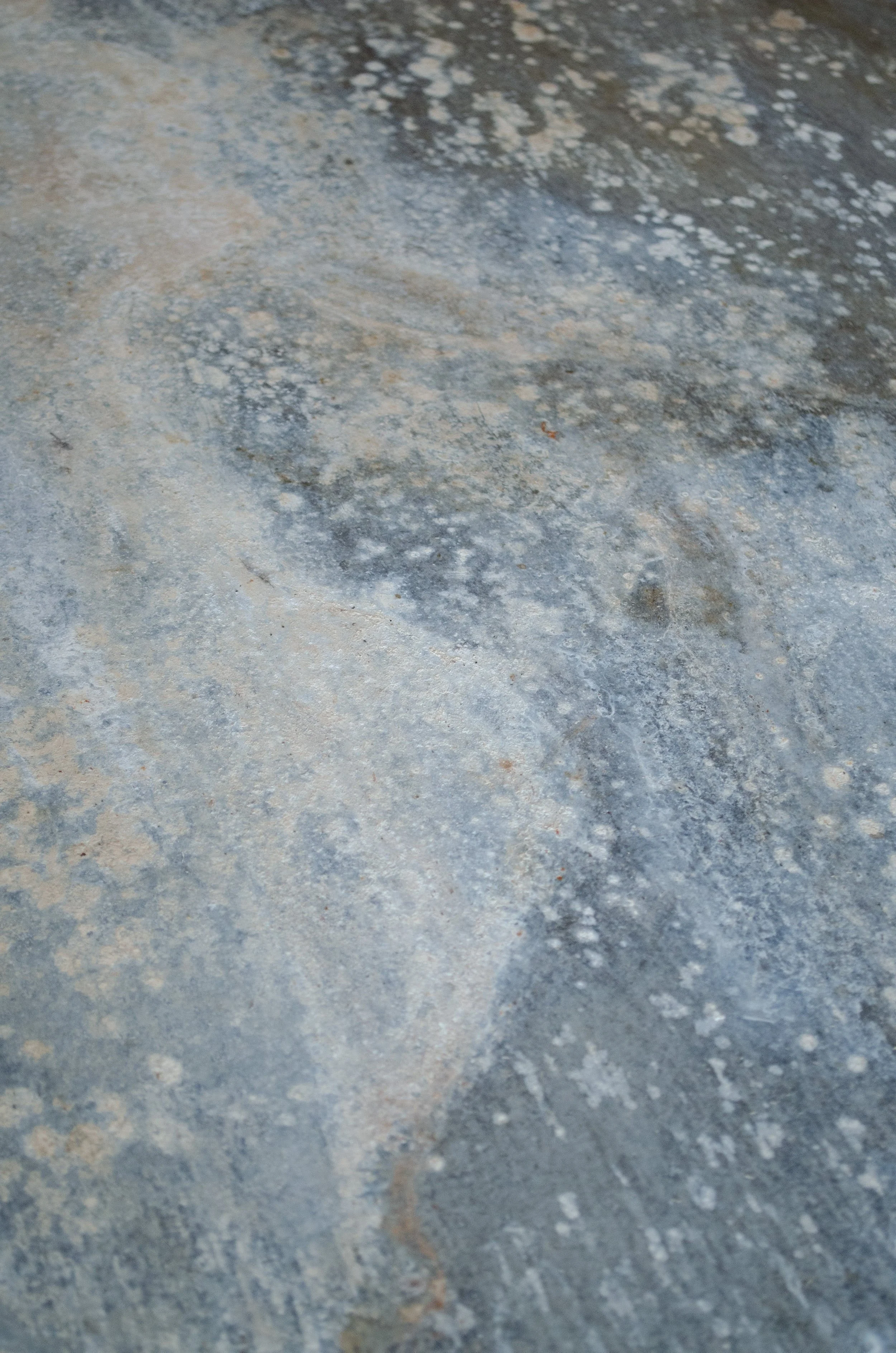 DSC_0019.jpg