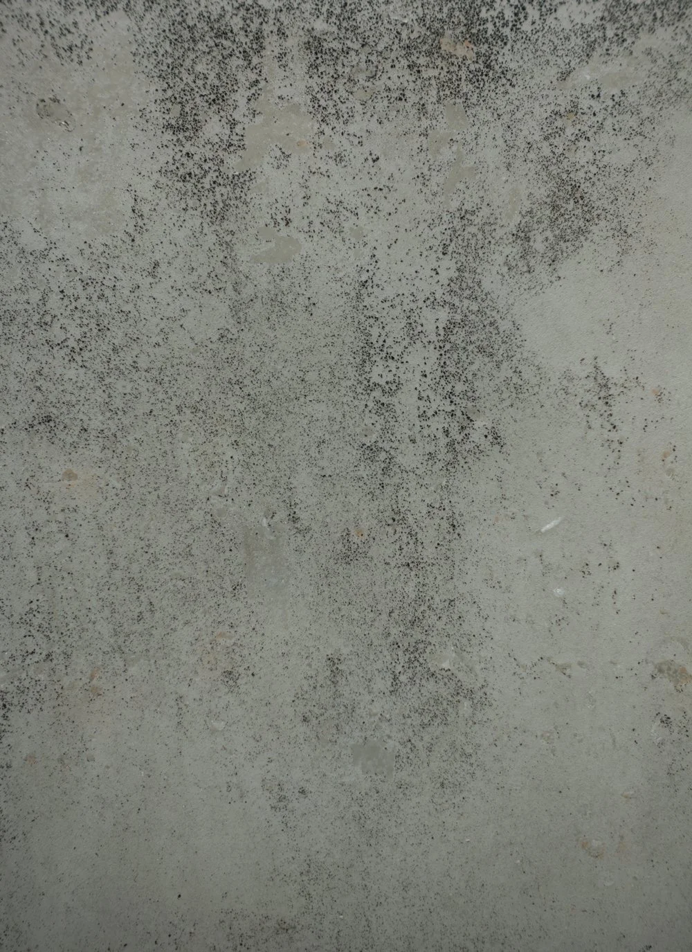 2611_test5.jpg