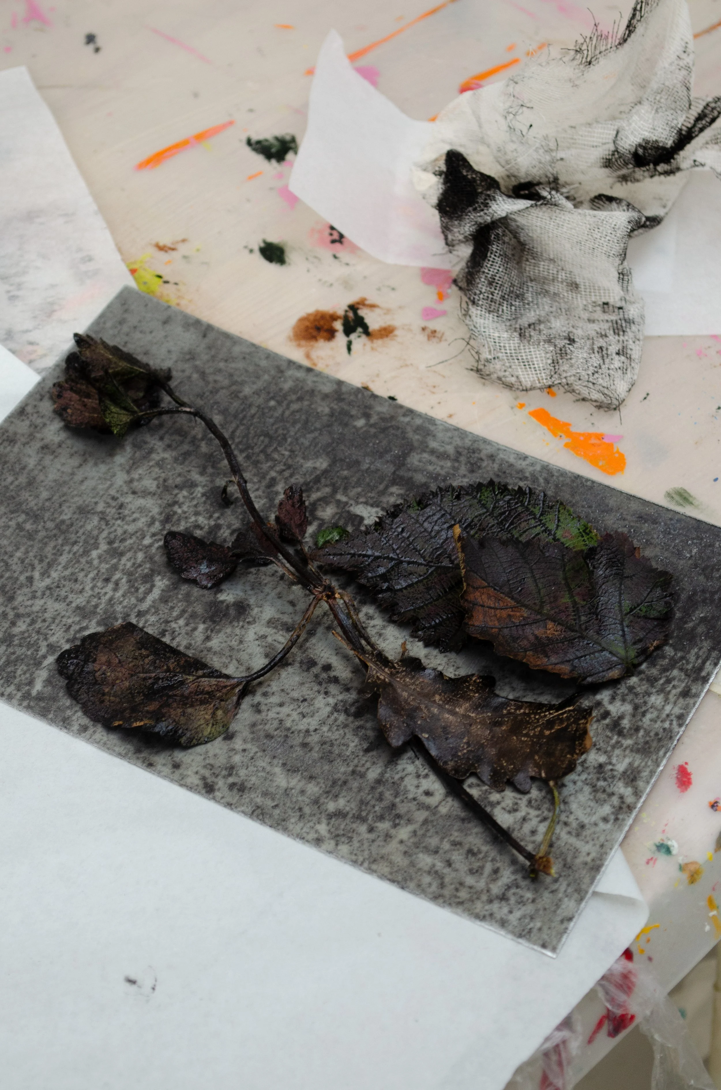 proces9.jpg