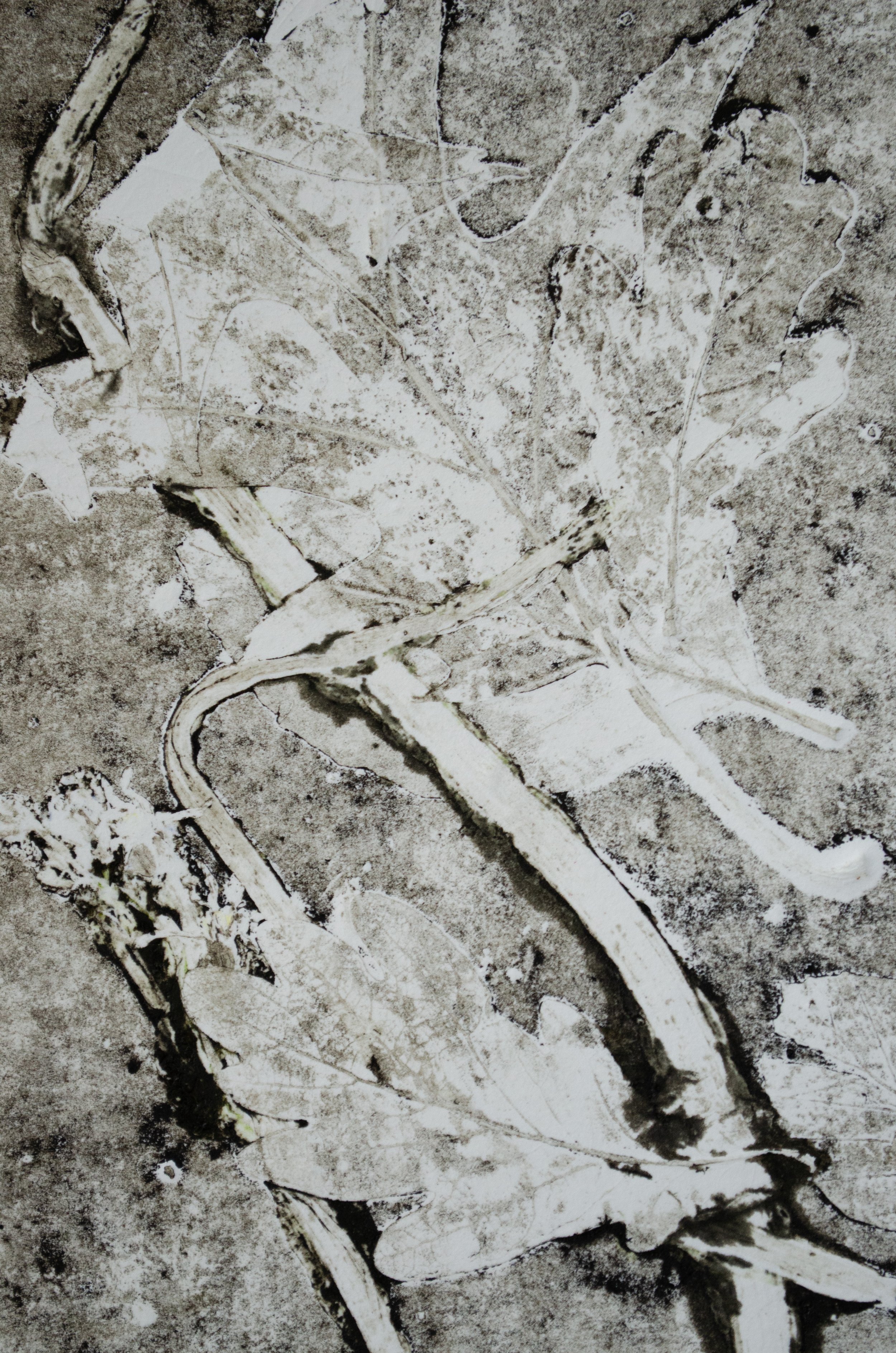 proces56.jpg