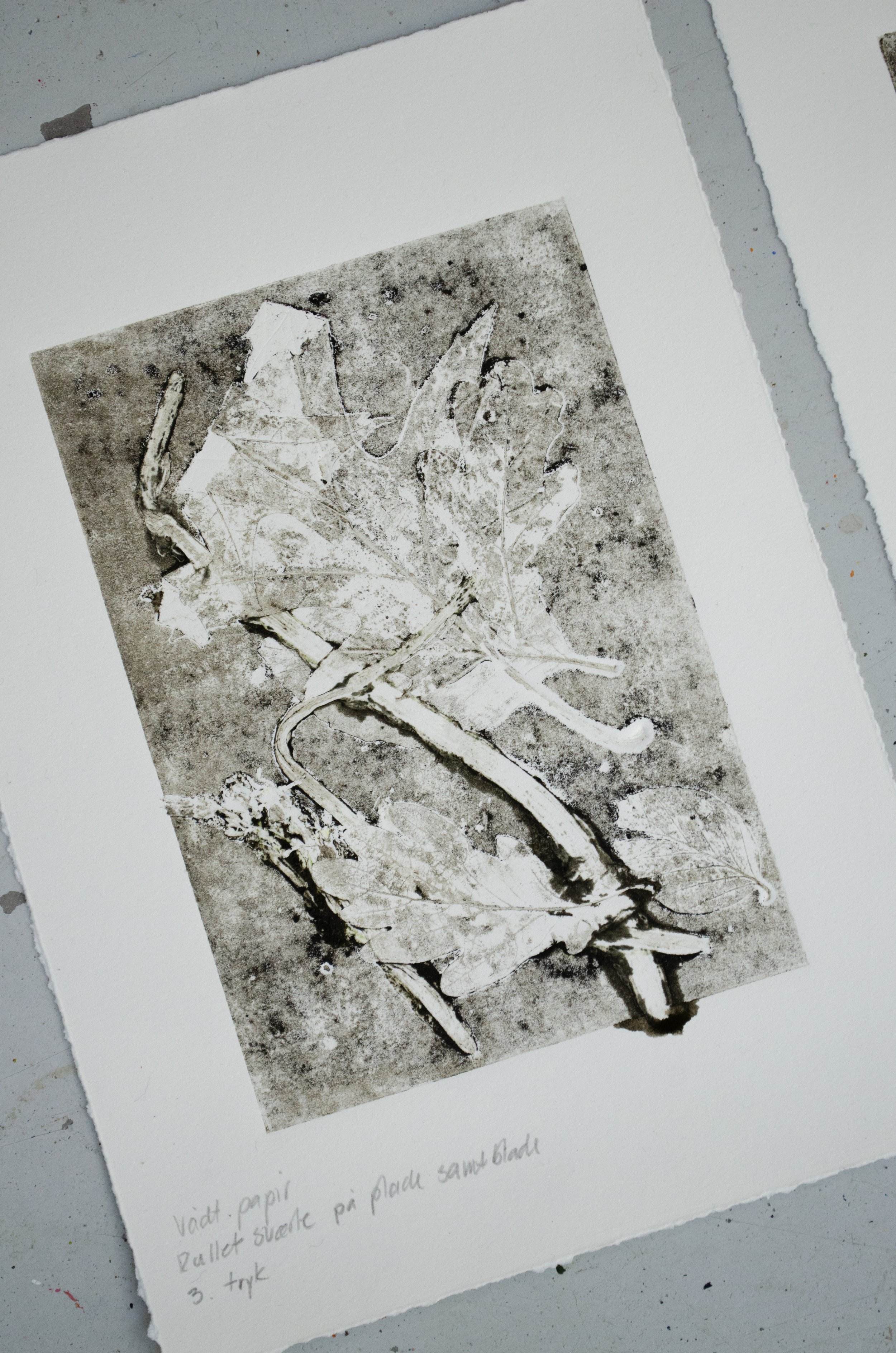 proces55.jpg