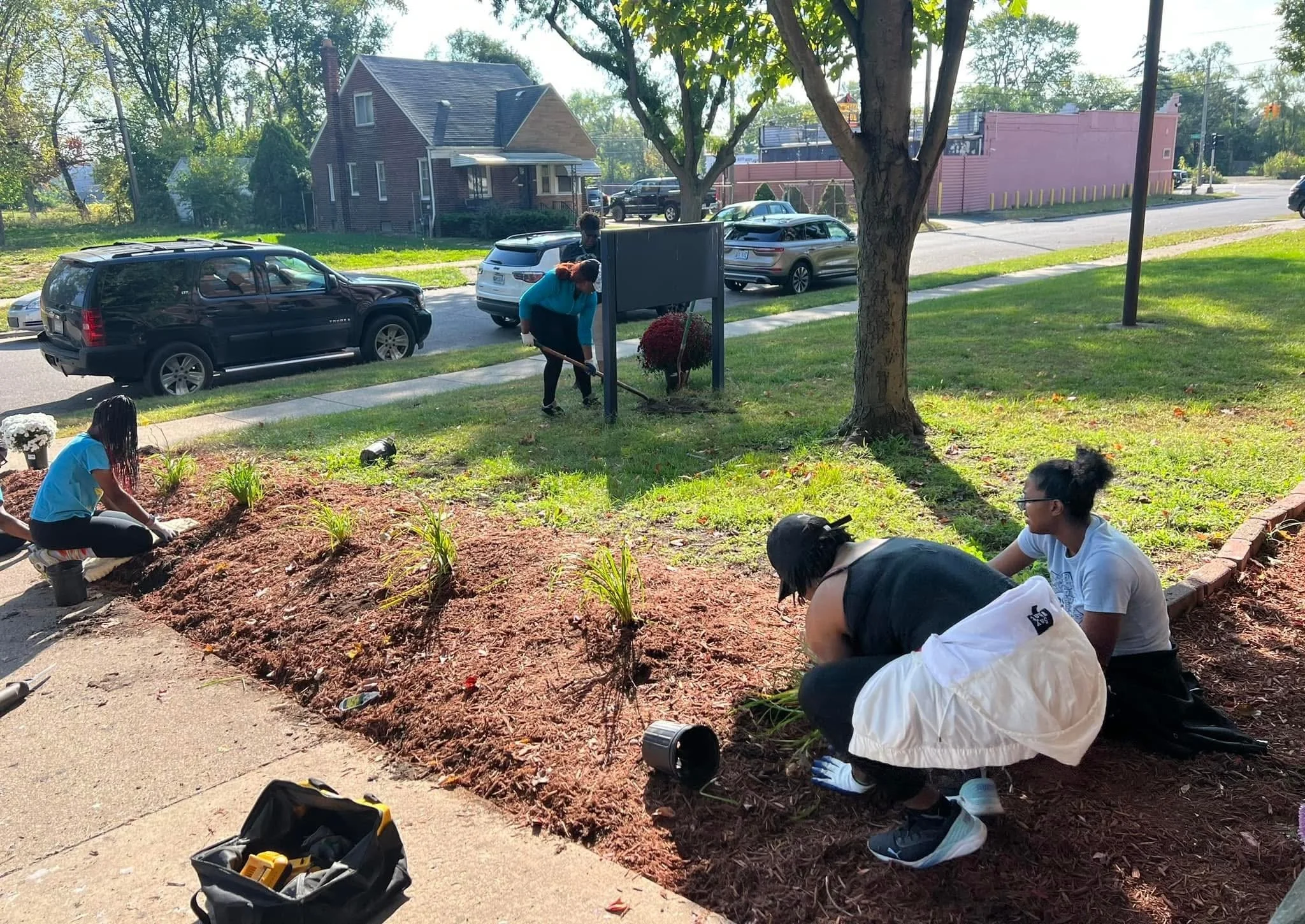 People planting flowers and gardening in a landscaped outdoor area near a sidewalk with parked cars and trees.
