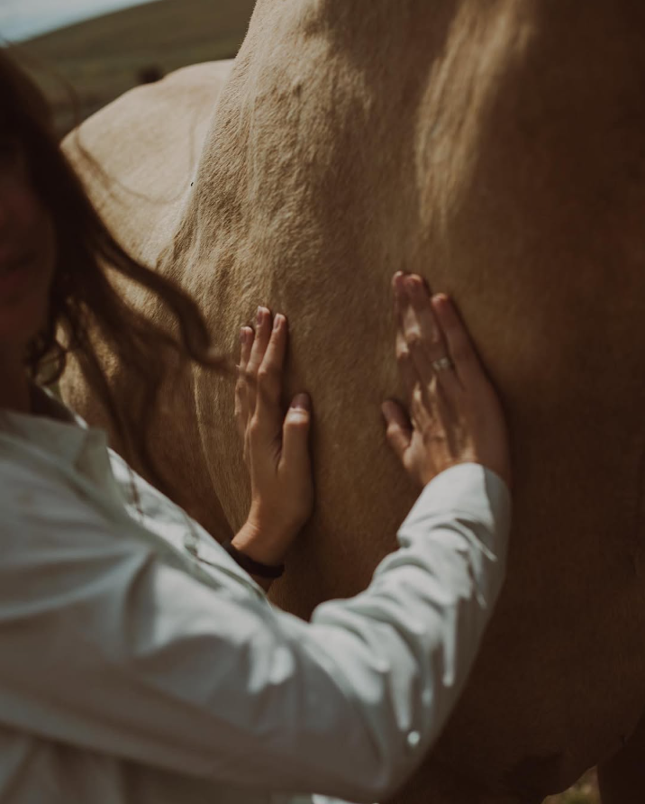 West of Ordinary at Vista Meadows Ranch.png