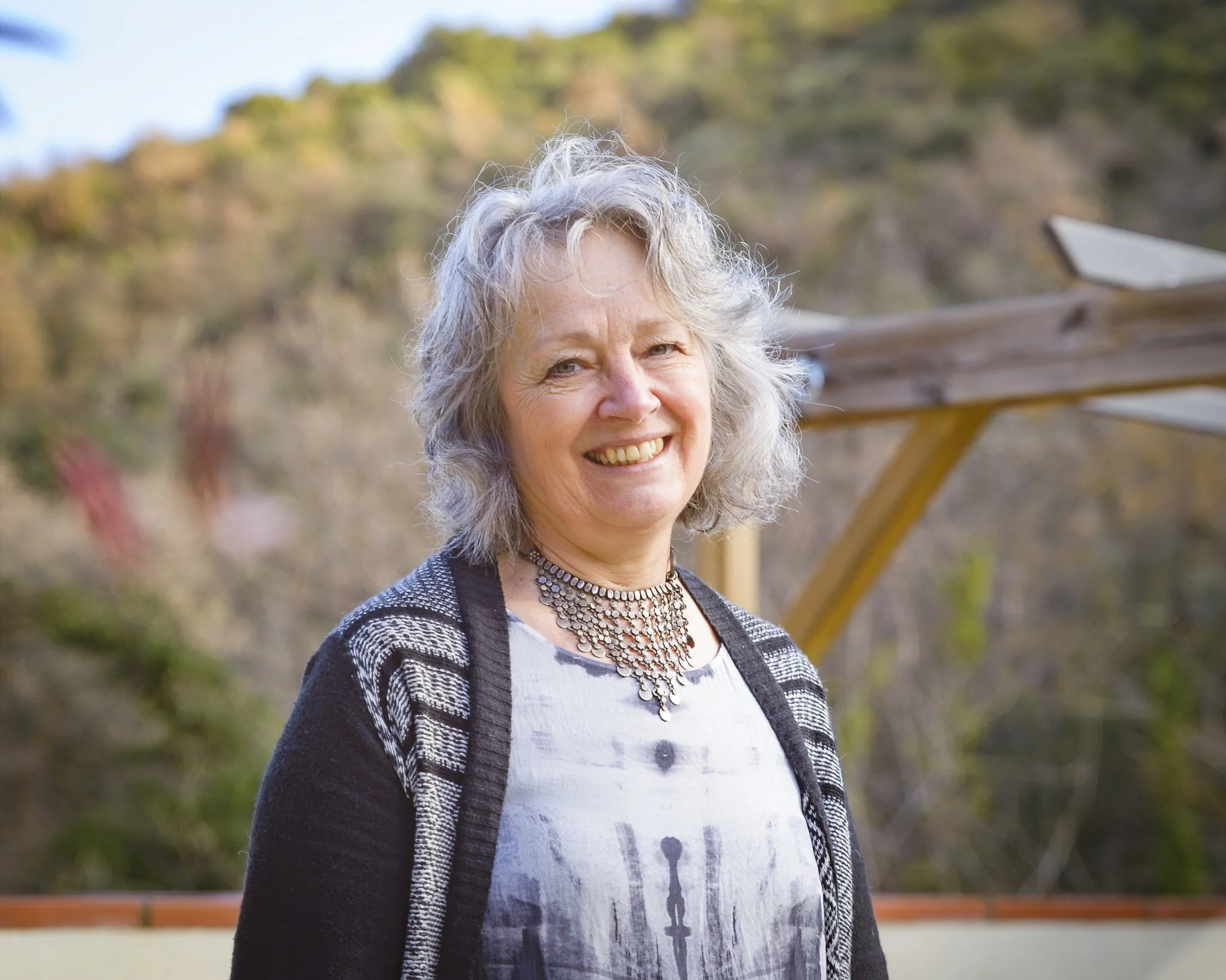 Dr Marion Gibbon