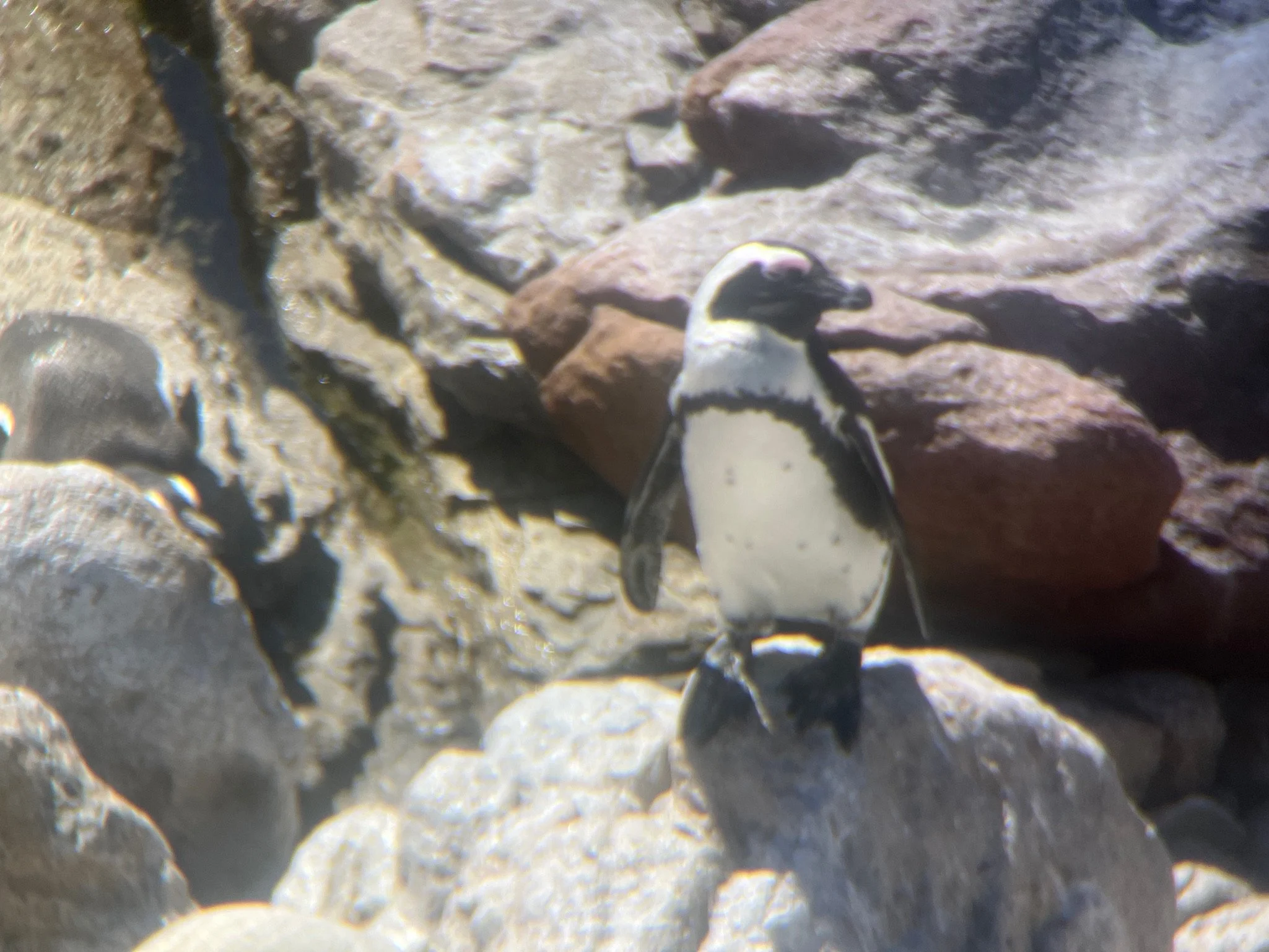 IMG_4158.jpeg