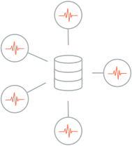 multiple recording macro/micro