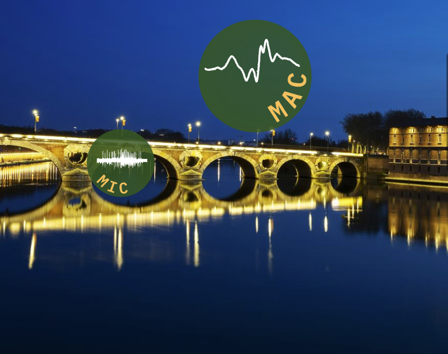 Toulouse bridge
