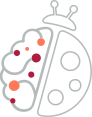 Halyzia Logo