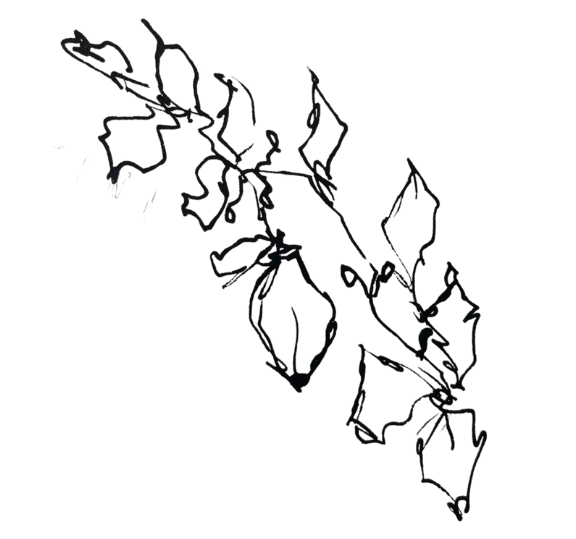 Une carte en ligne noire avec des tracés de routes ou de chemins en lignes fines. Il n'y a pas d'autres détails visibles.